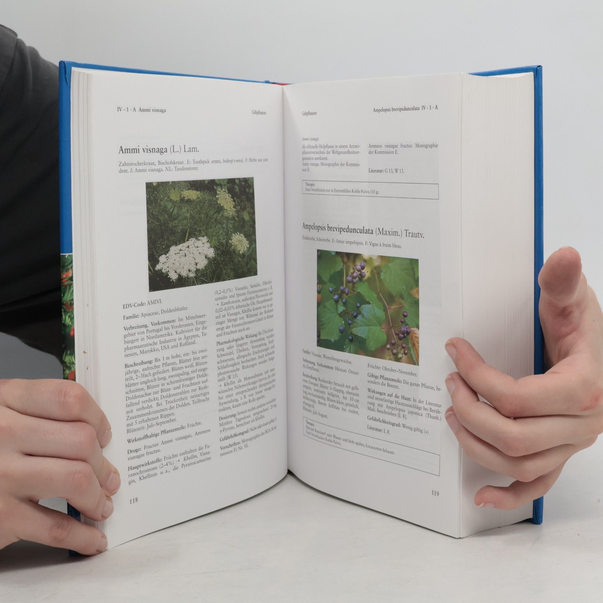Lutz Roth Giftpflanzen-Pflanzengifte