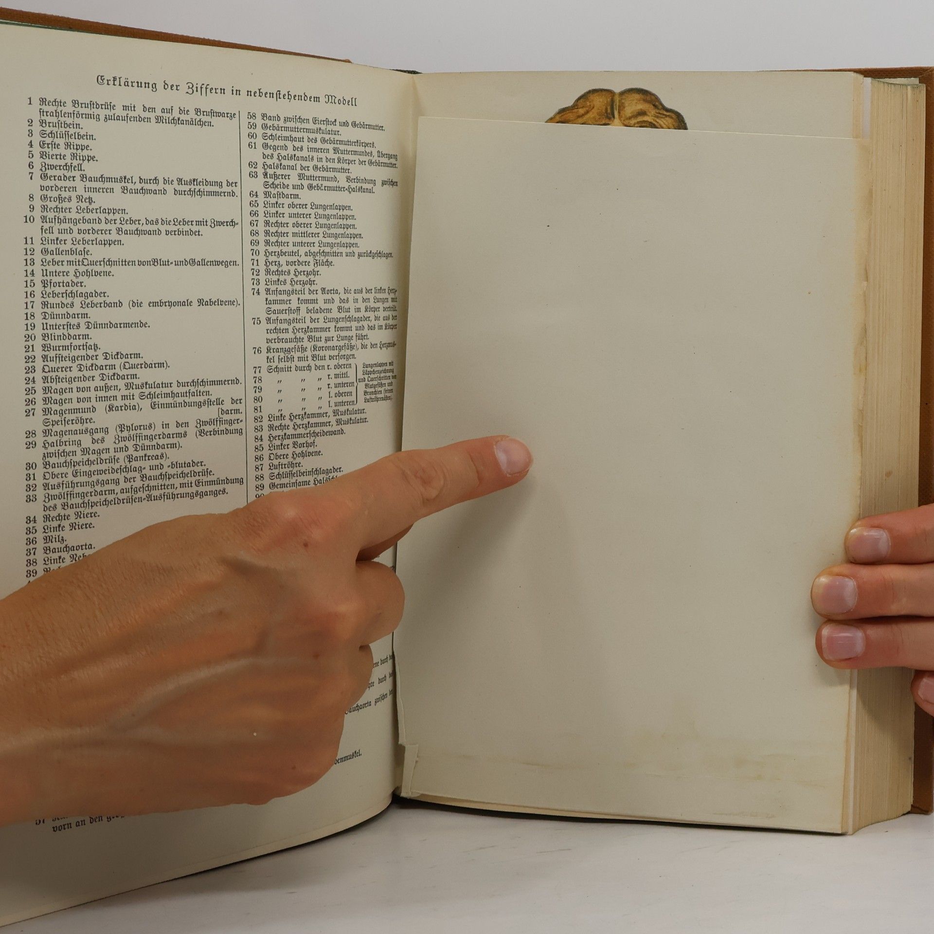 Autorenkollektiv Der Neue Brockhaus 3. L-R