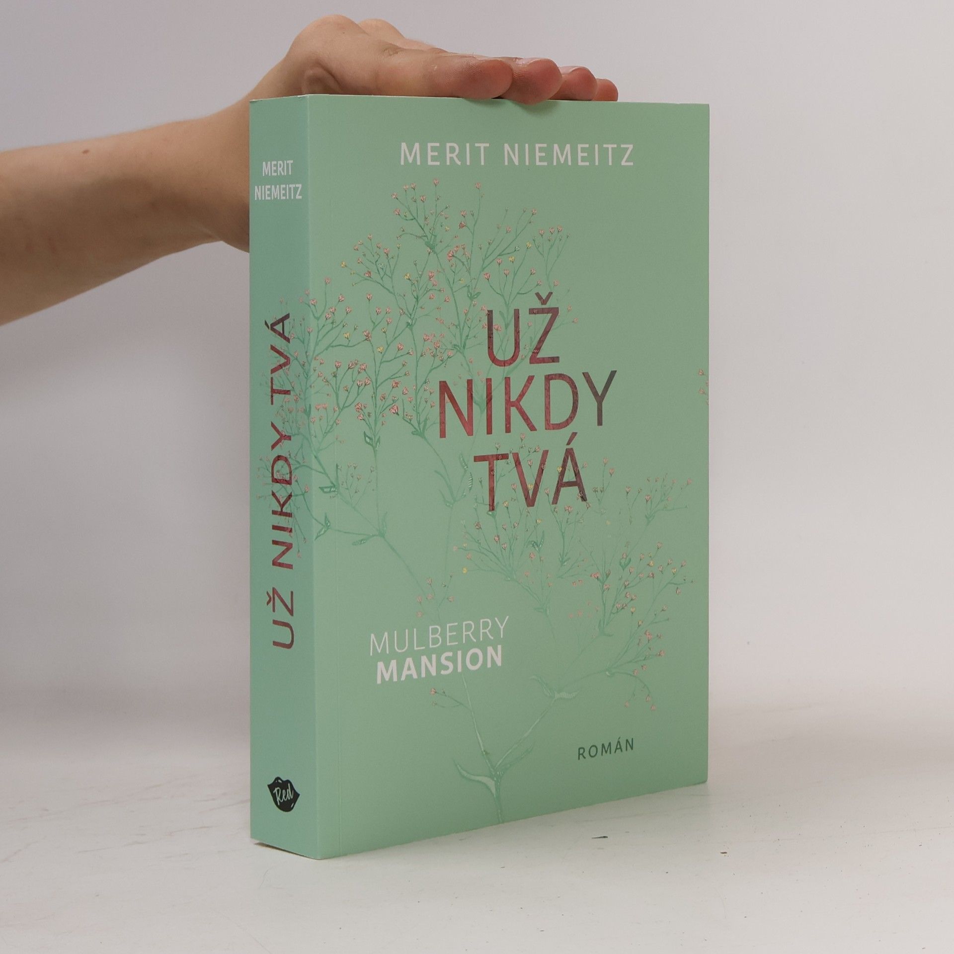 Merit Niemeitz Už nikdy tvá