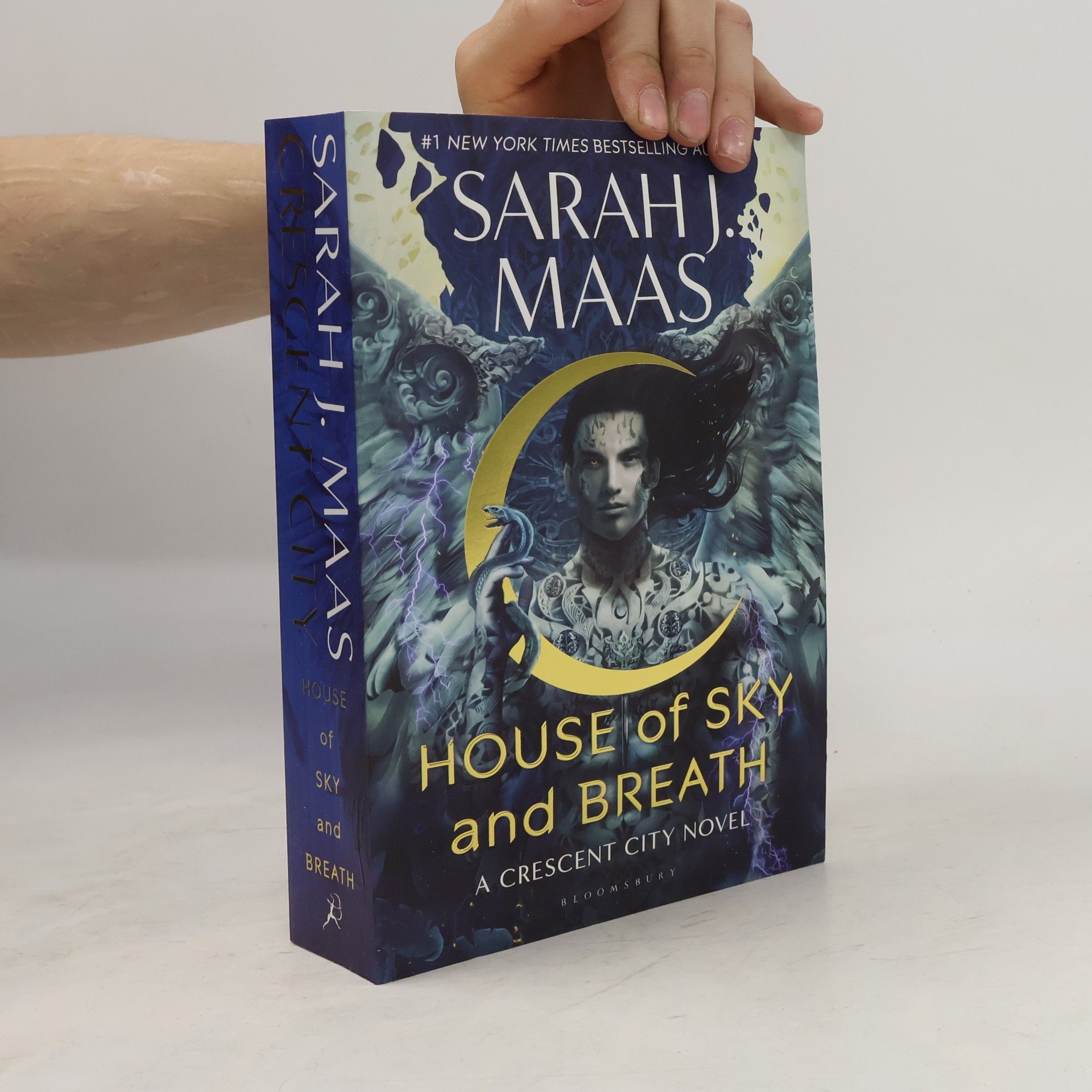 Sarah J. Maas House of sky and breath