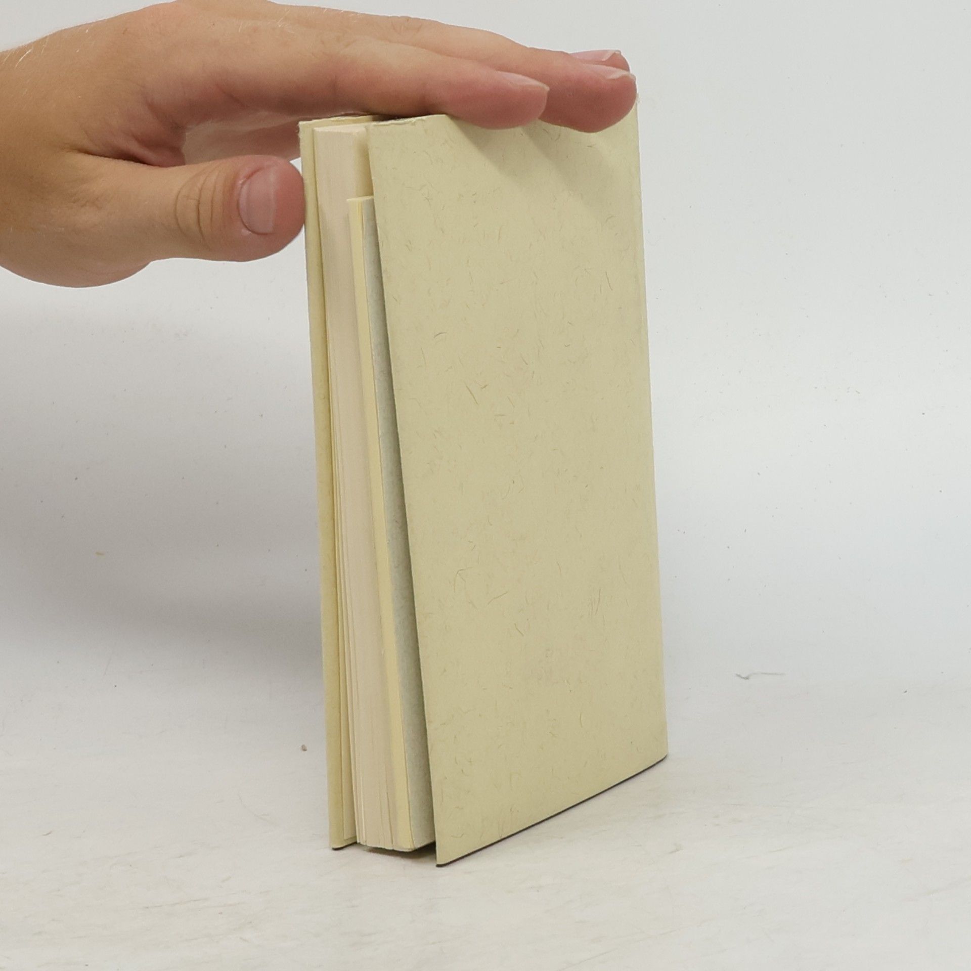 Kolektiv autorů Instrumentarium des täglichen Gebets