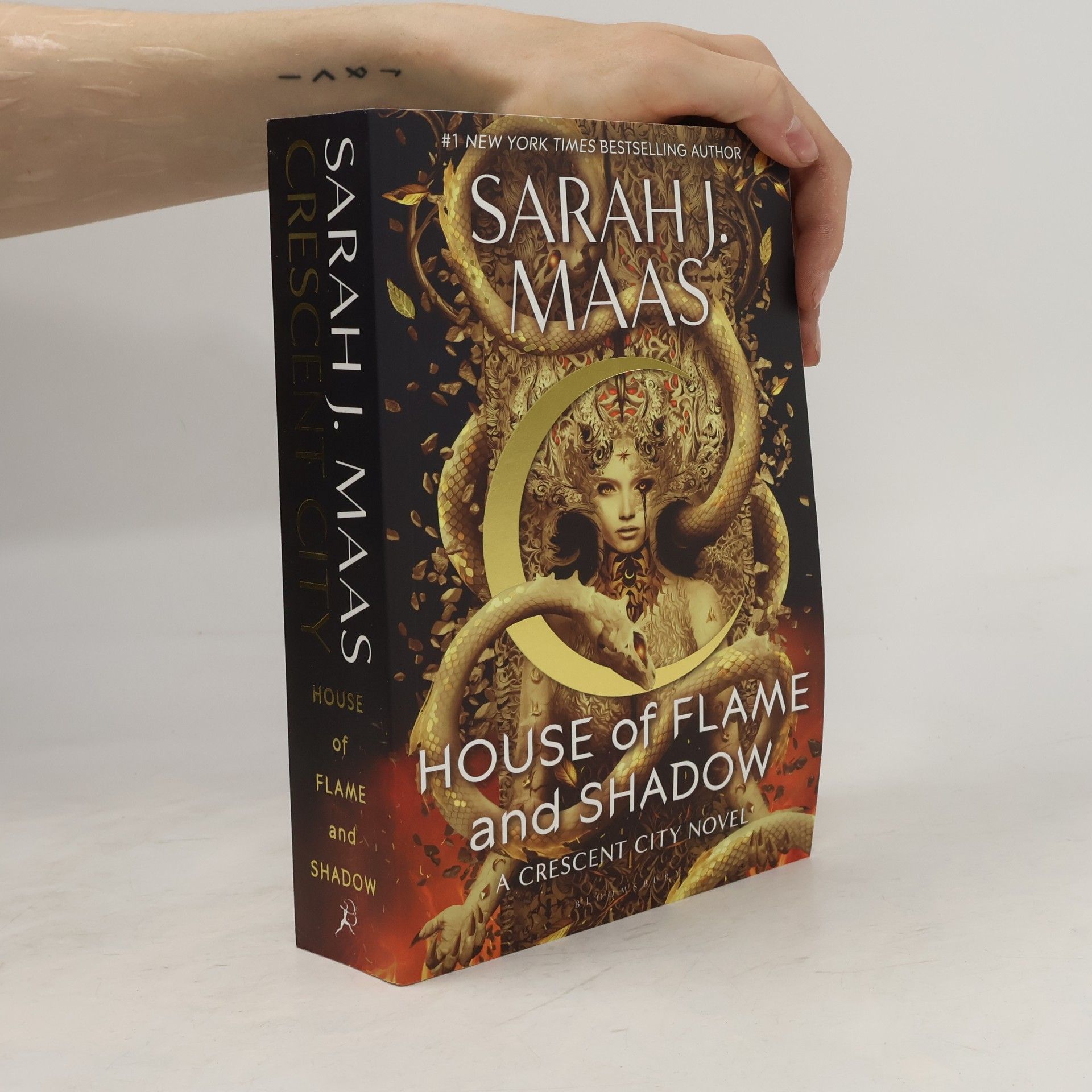 Sarah J. Maas House of Flame and Shadow