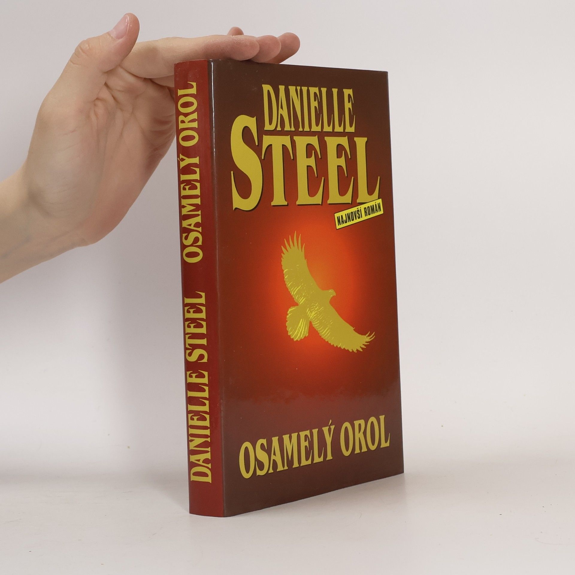 Danielle Steel Osamelý orol