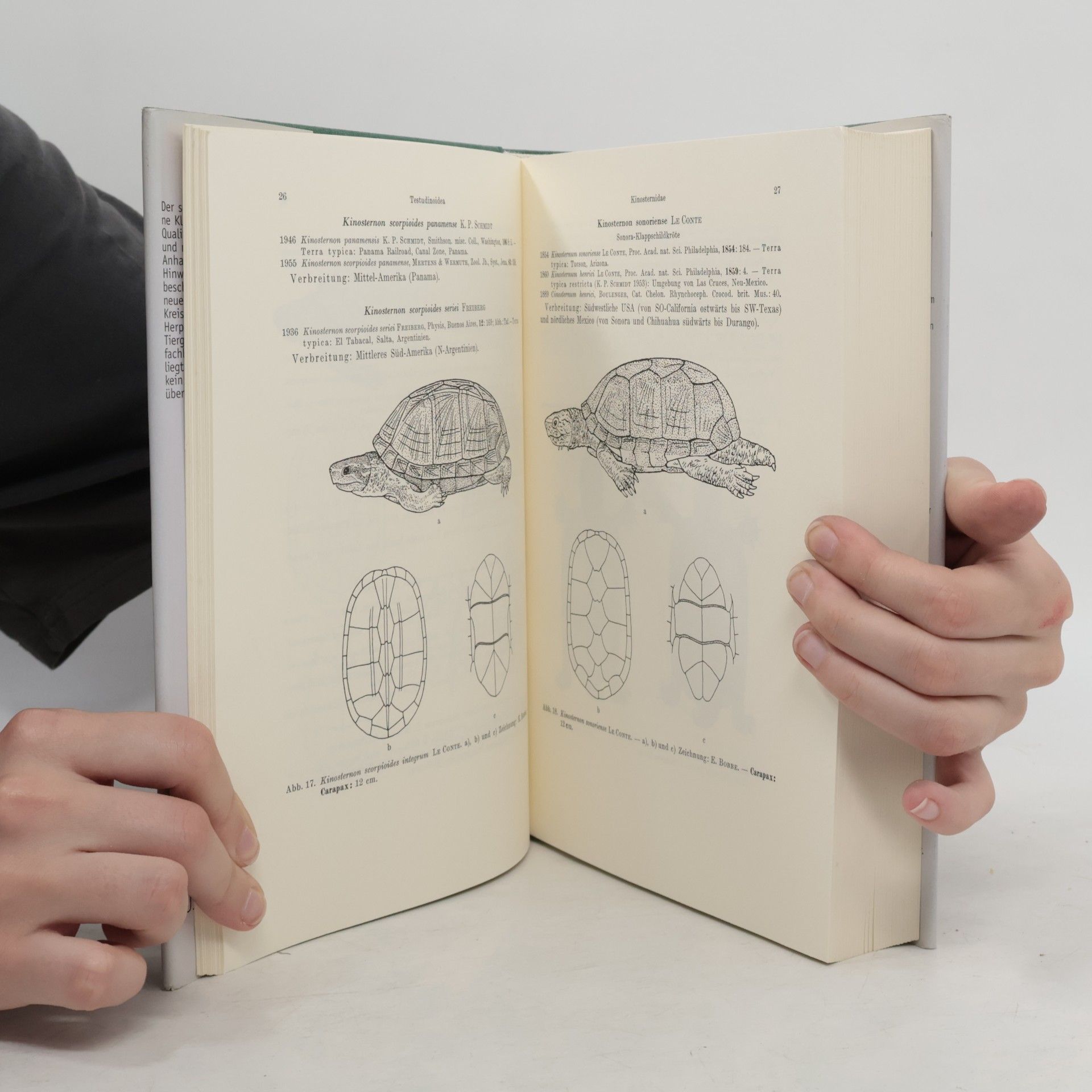 Heinz Wermuth Schildkröten, Krokodile, Brückenechsen