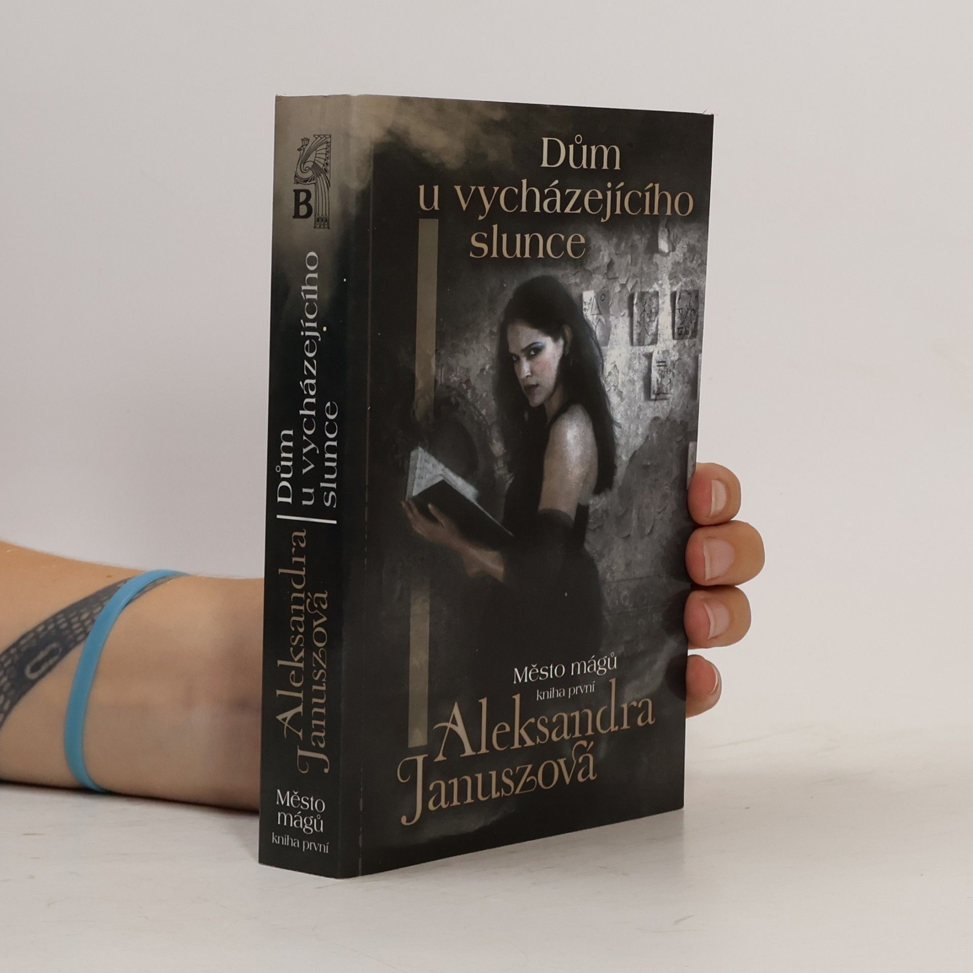 Aleksandra Janusz Dům u vycházejícího slunce. Město mágů 1