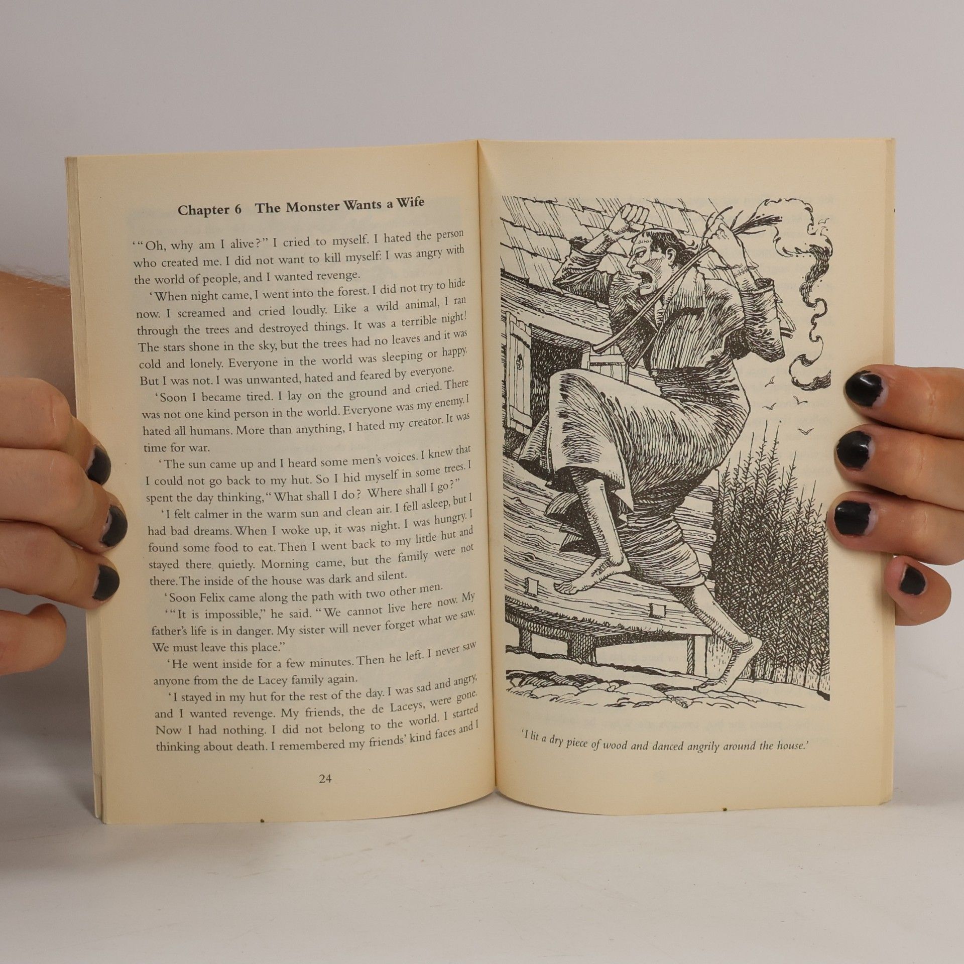 Mary Shelley Frankenstein