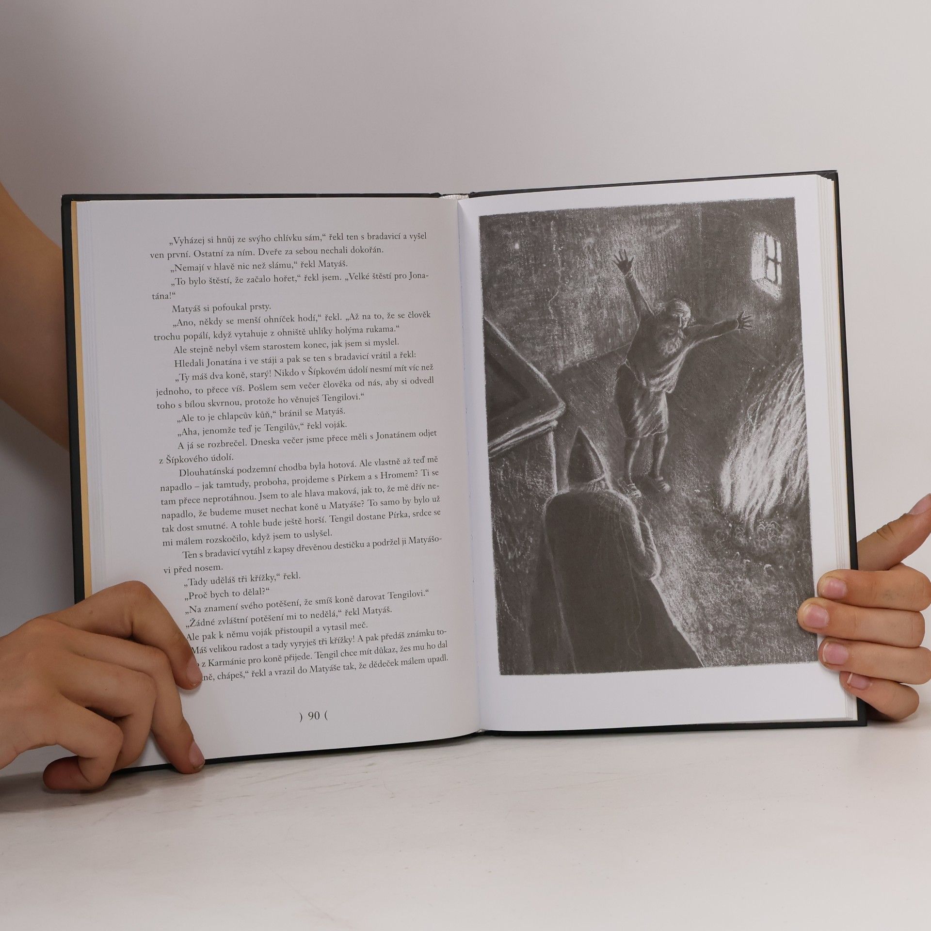 Astrid Lindgren Bratři Lví srdce