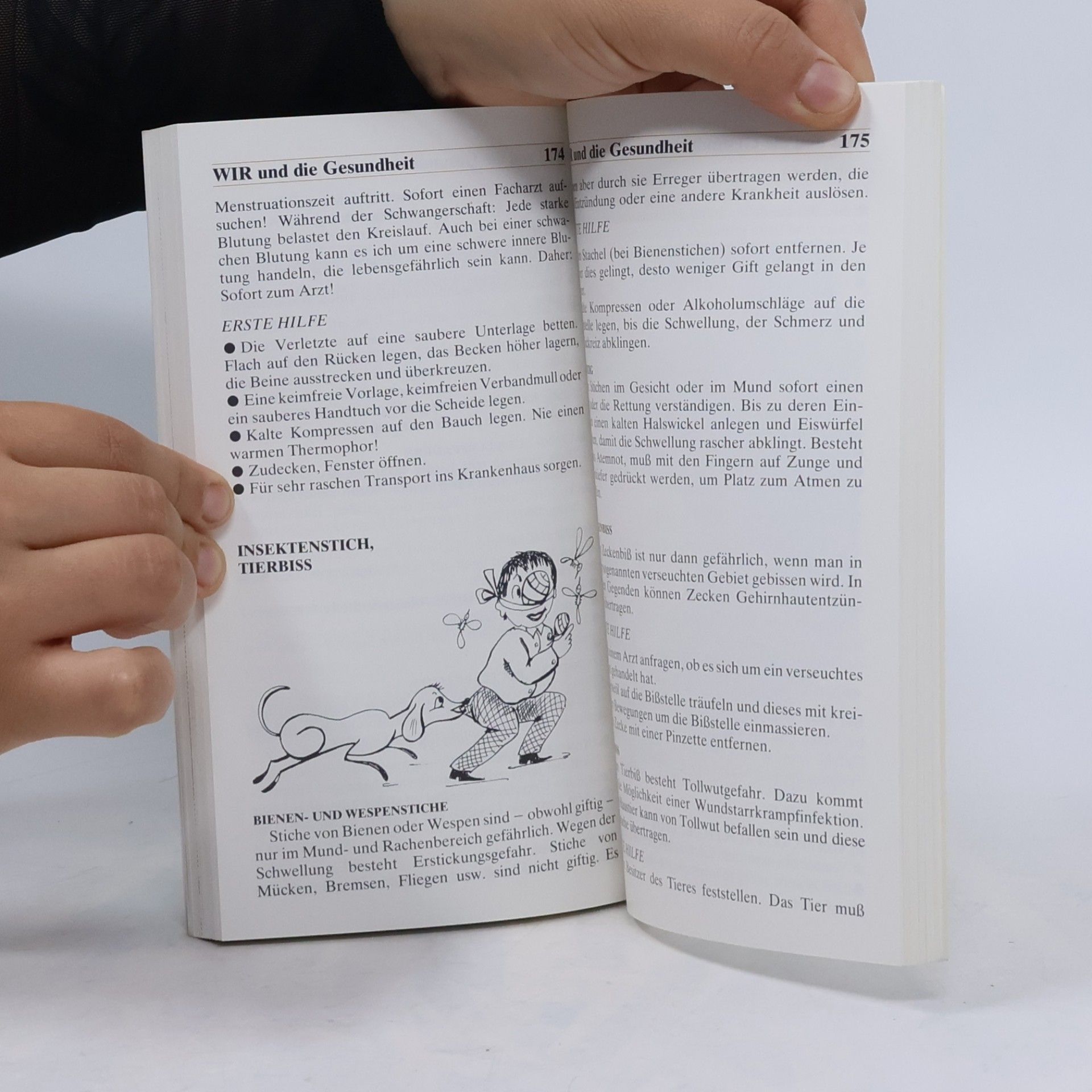 Autorenkollektiv Wir ’81 Jahrbuch