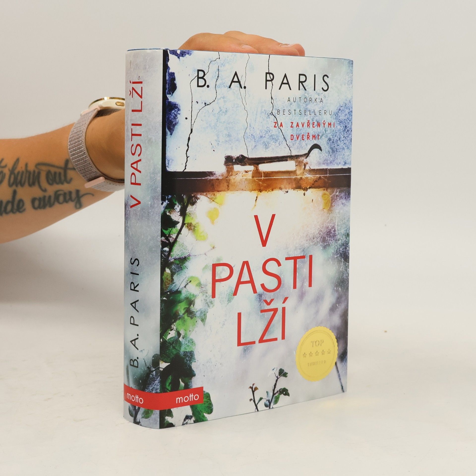 B.A. Paris V pasti lží