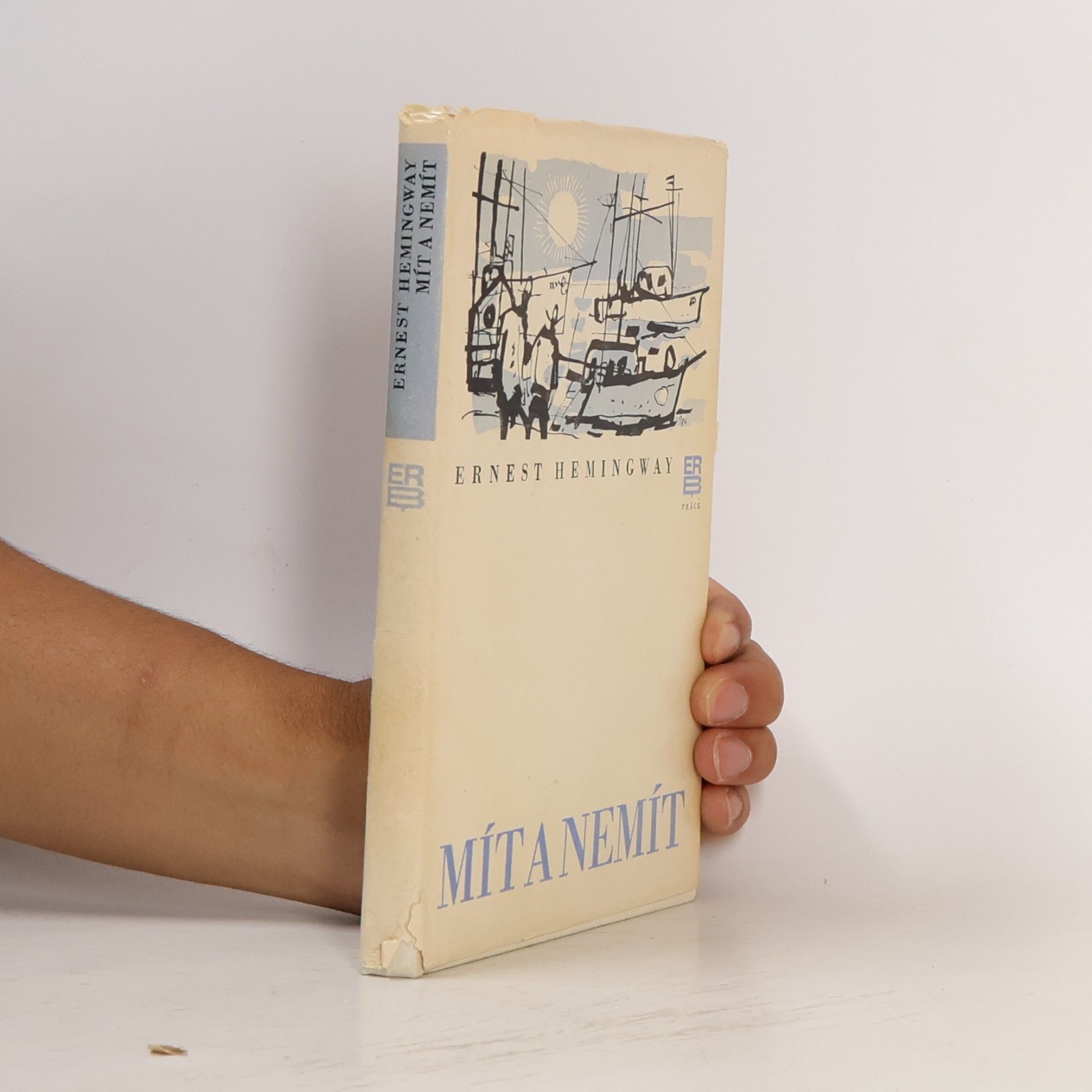 Ernest Hemingway Mít a nemít