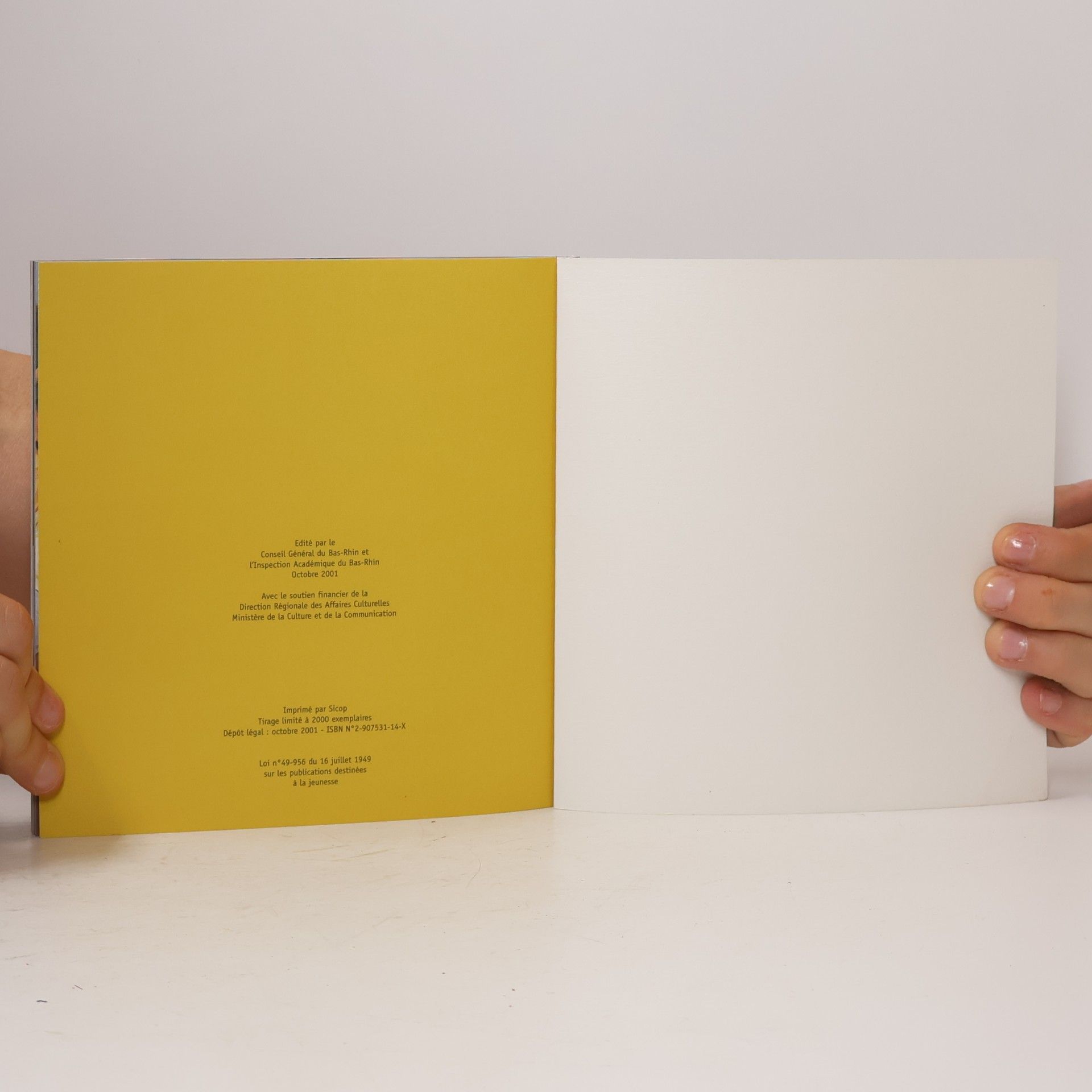 Collectif d'auteurs Pirouette Bibliothèque