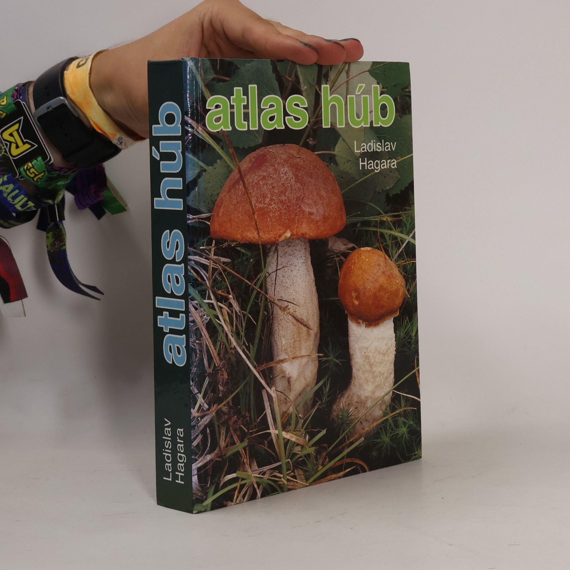 Ladislav Hagara Atlas hub