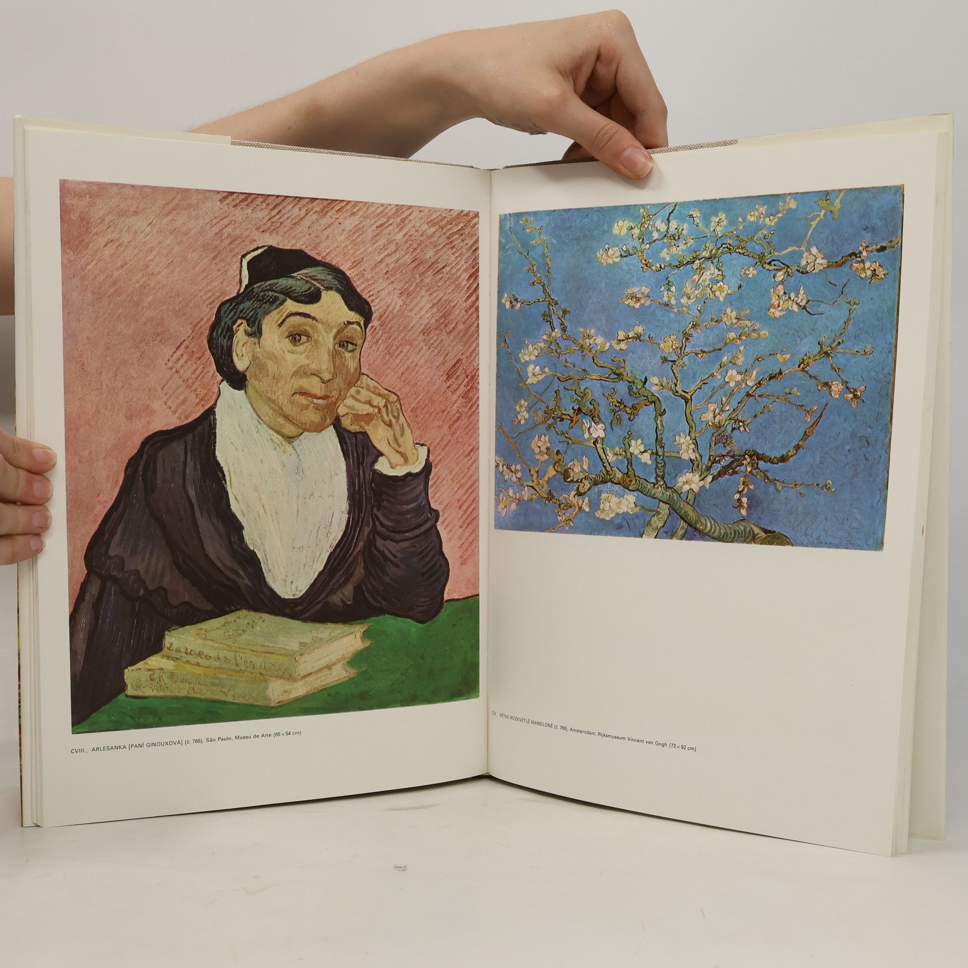 Paolo Lecaldano Vincent van Gogh. Souborné malířské dílo II. (1888-1890)