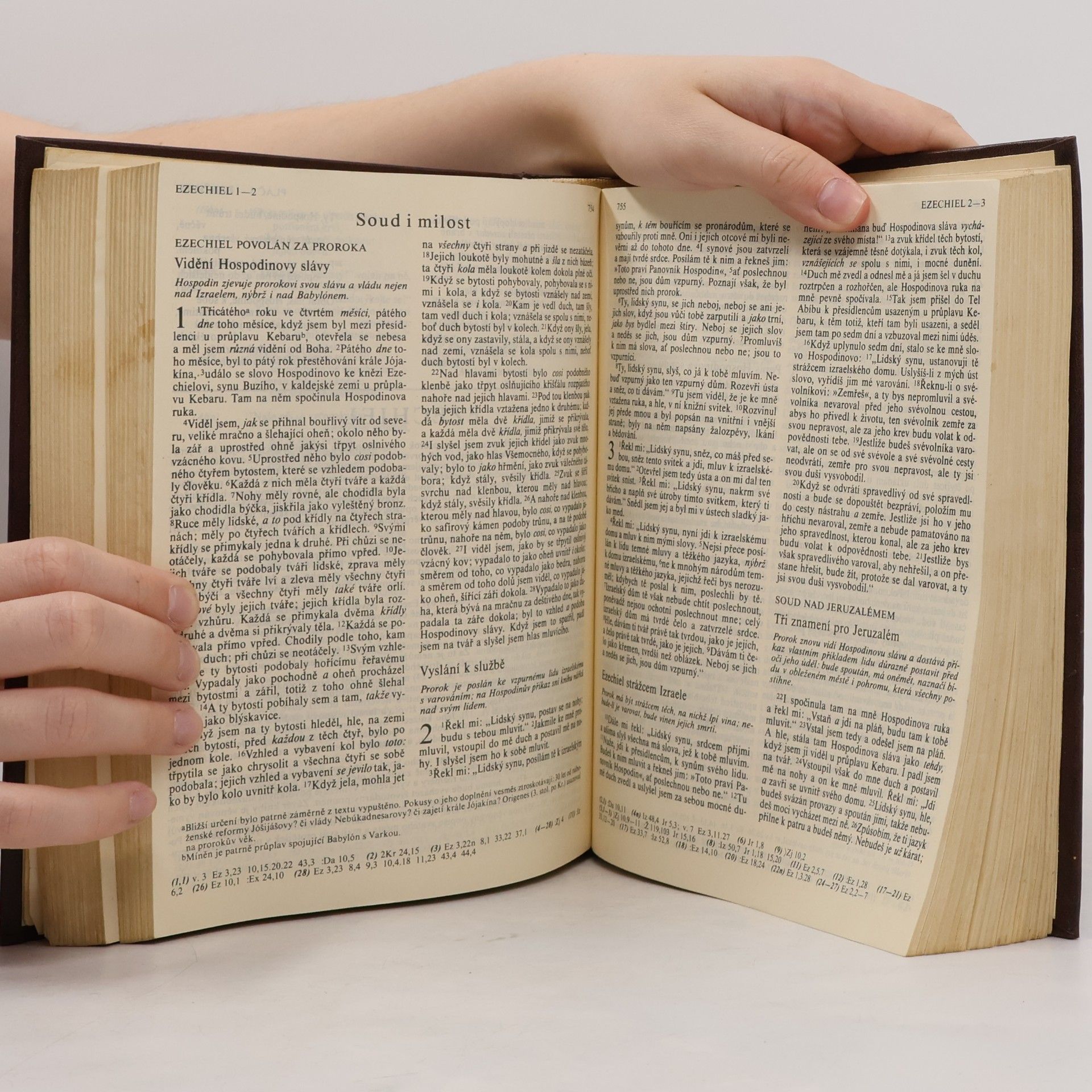 Kolektiv autorů Bible. Písmo svaté Starého a Nového Zákona. Ekumenický překlad