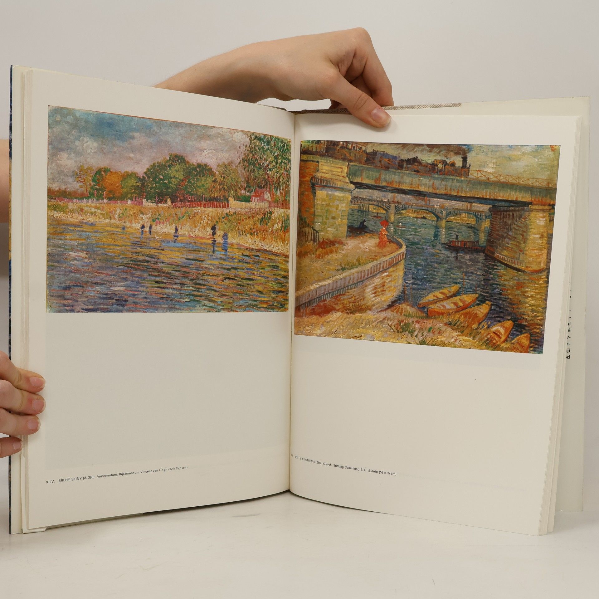 Paolo Lecaldano Vincent van Gogh I