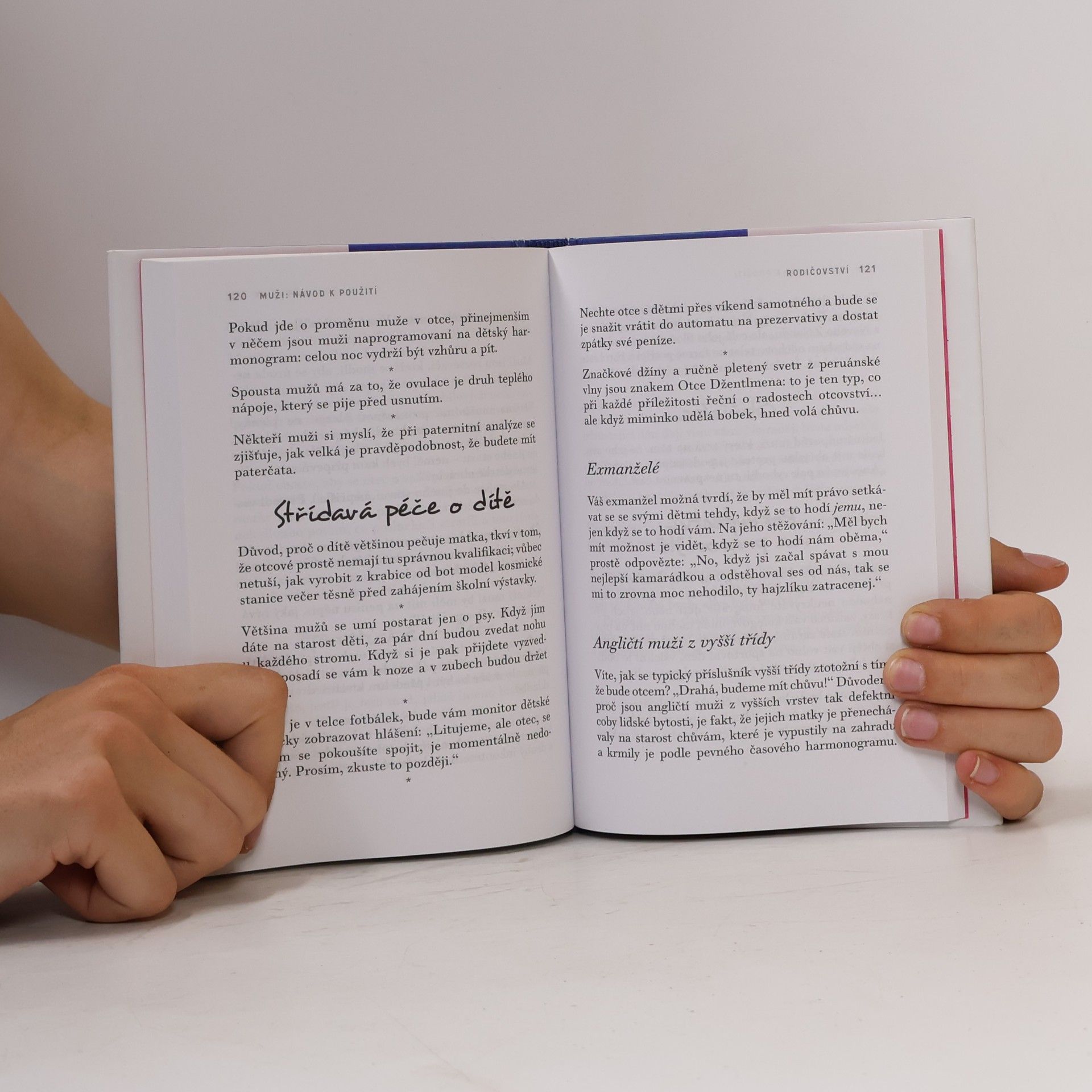 Kathy Lette Muži. Návod k použití