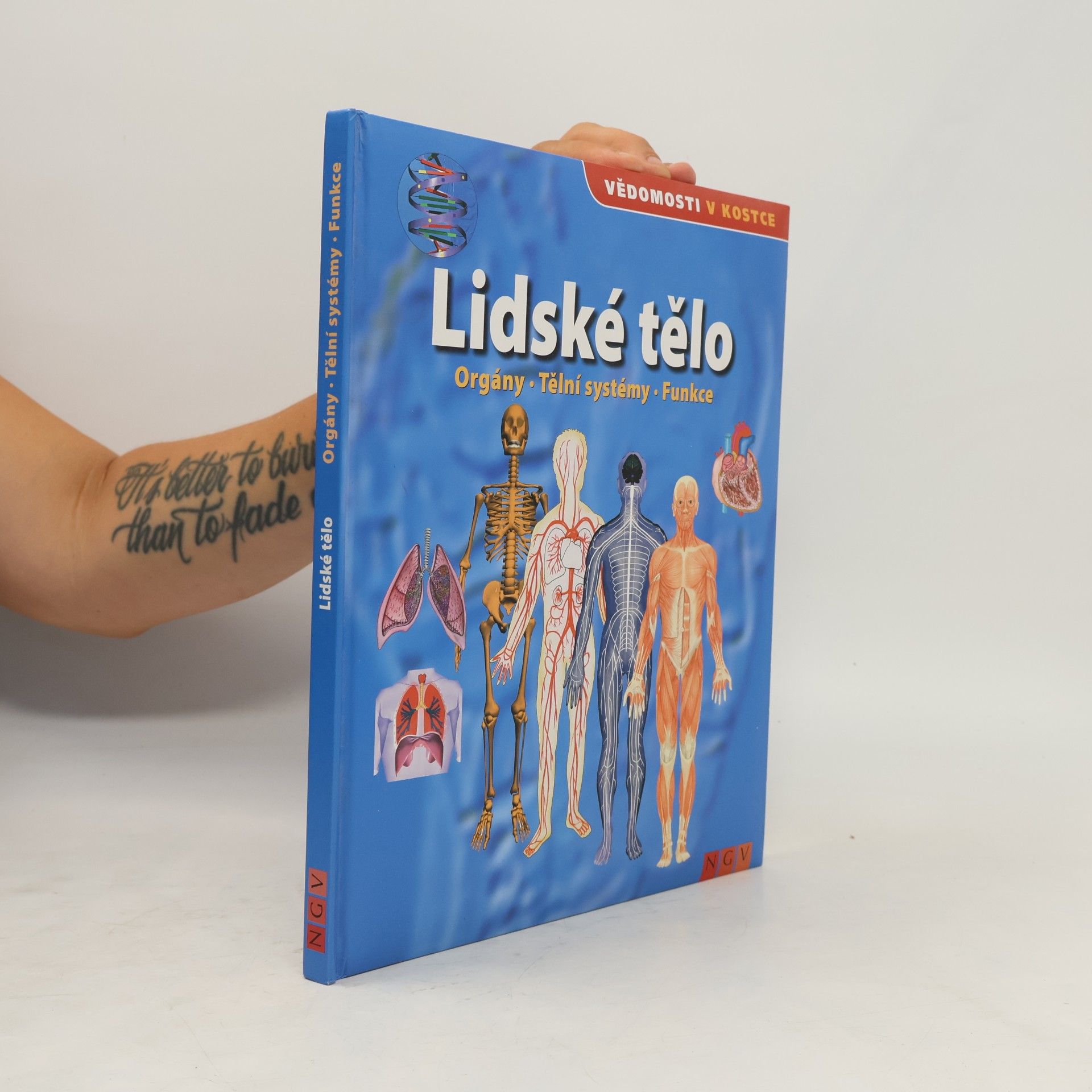 Kolektiv autorů Lidské tělo. Orgány. Tělní systémy. Funkce