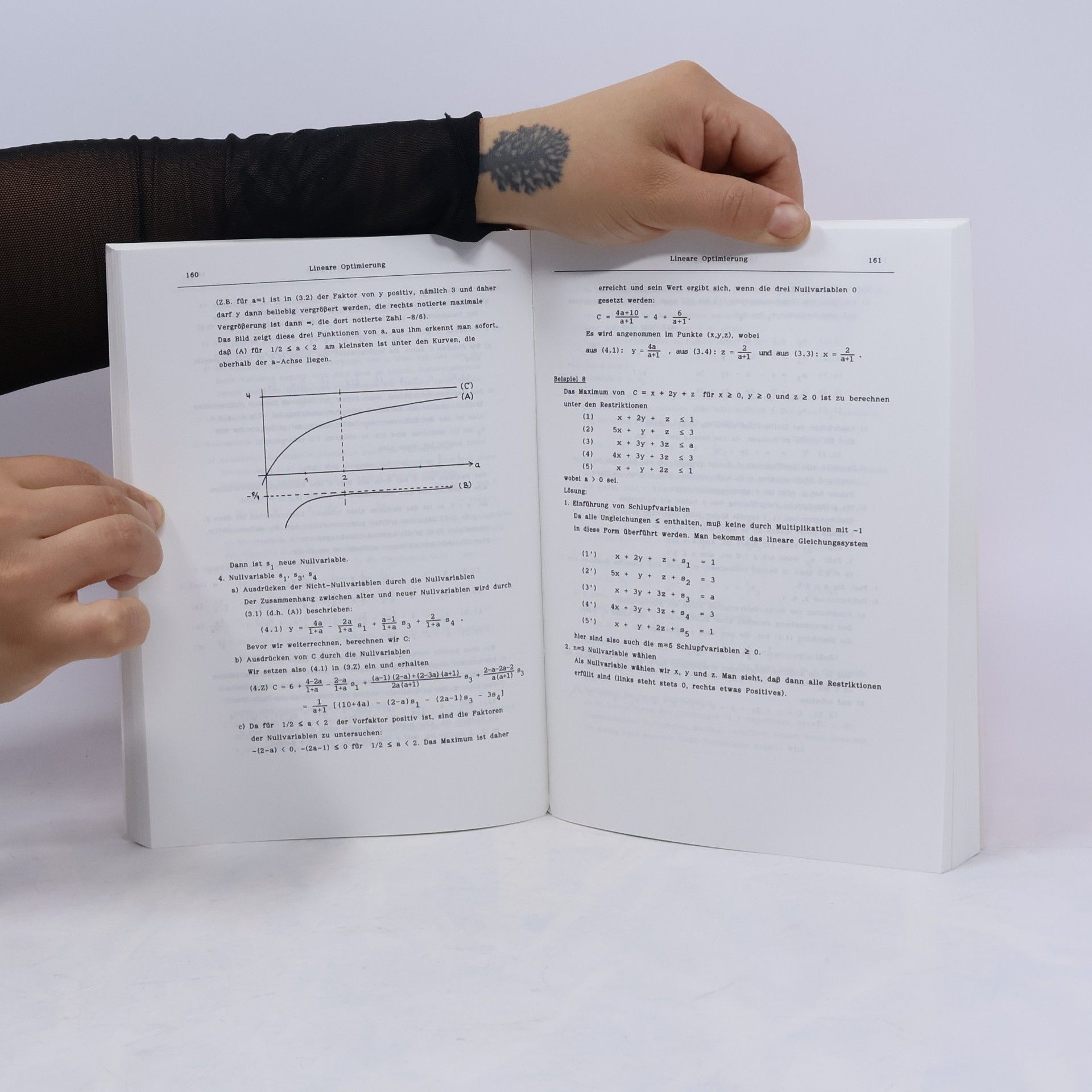 Feldmann Repetitorium der Ingenieur-Mathematik Teil 2