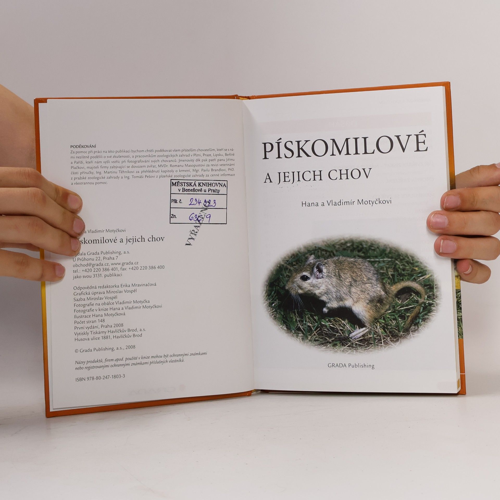Hana Motyčková Pískomilové a jejich chov