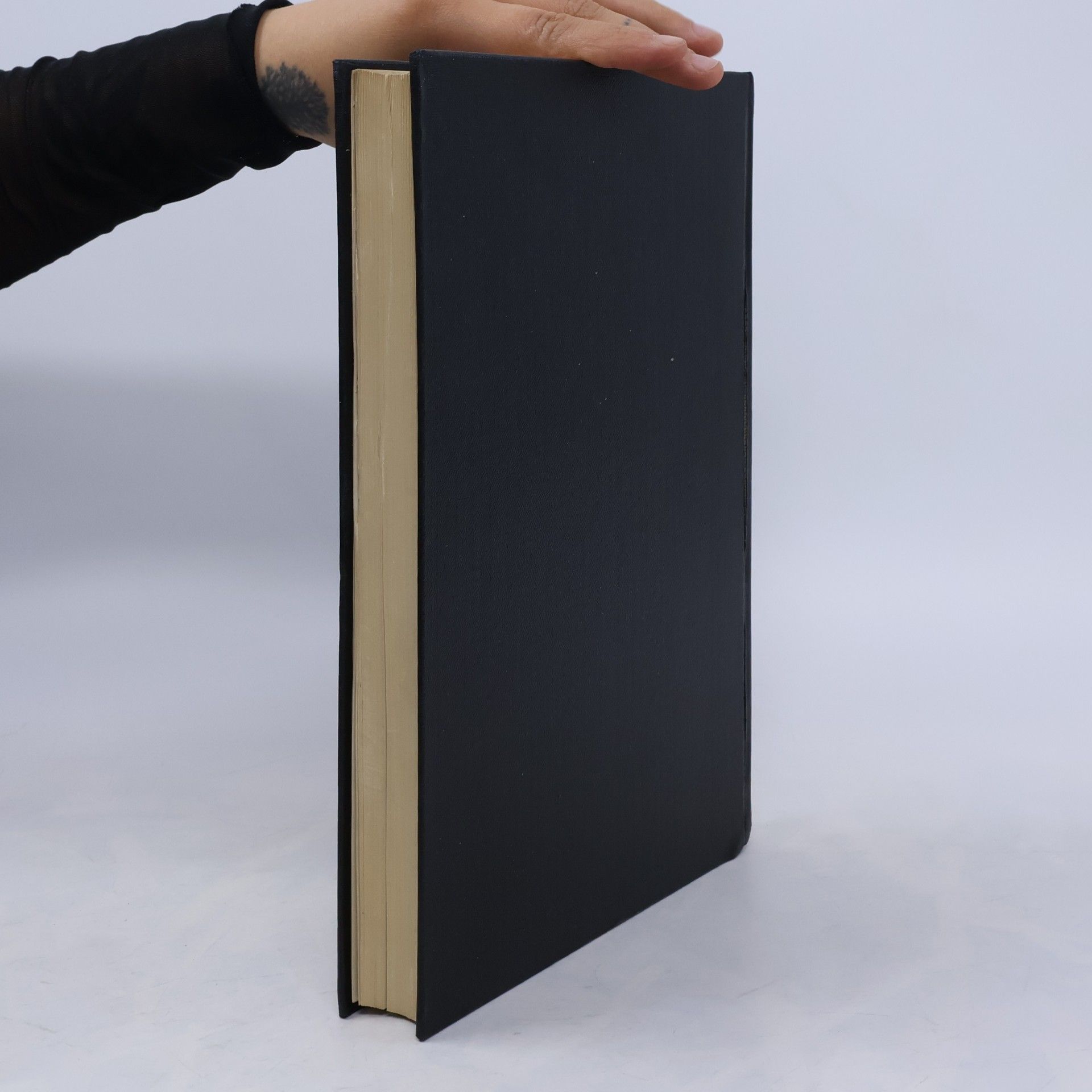 Hans Meischner Handbuch moderner Tagebau-Ausrüstungen
