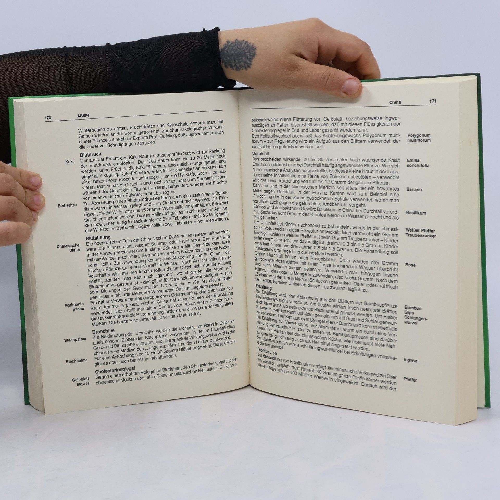 Gert Baumgart Handbuch Volksmedizin