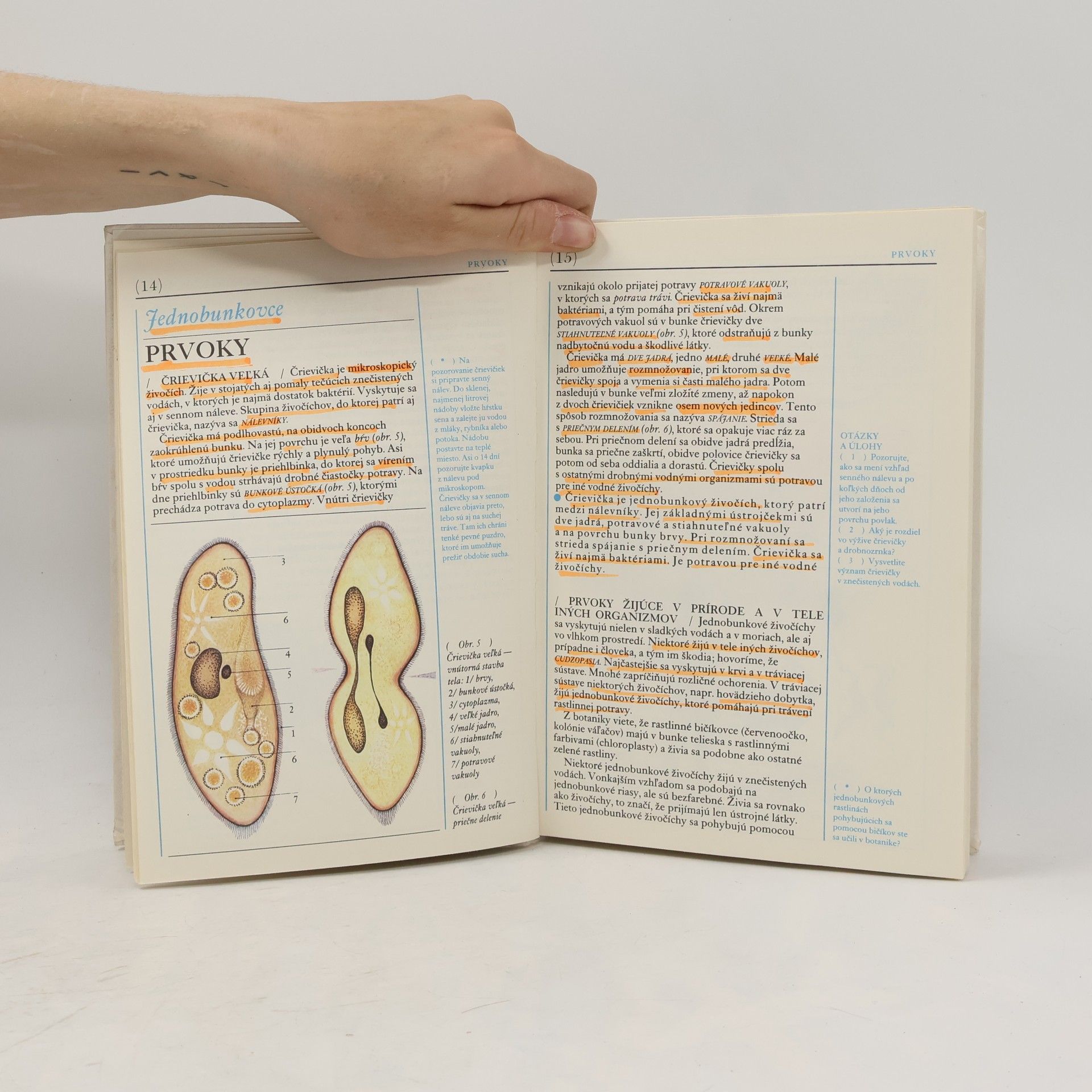 AA.VV. Prírodopis 6