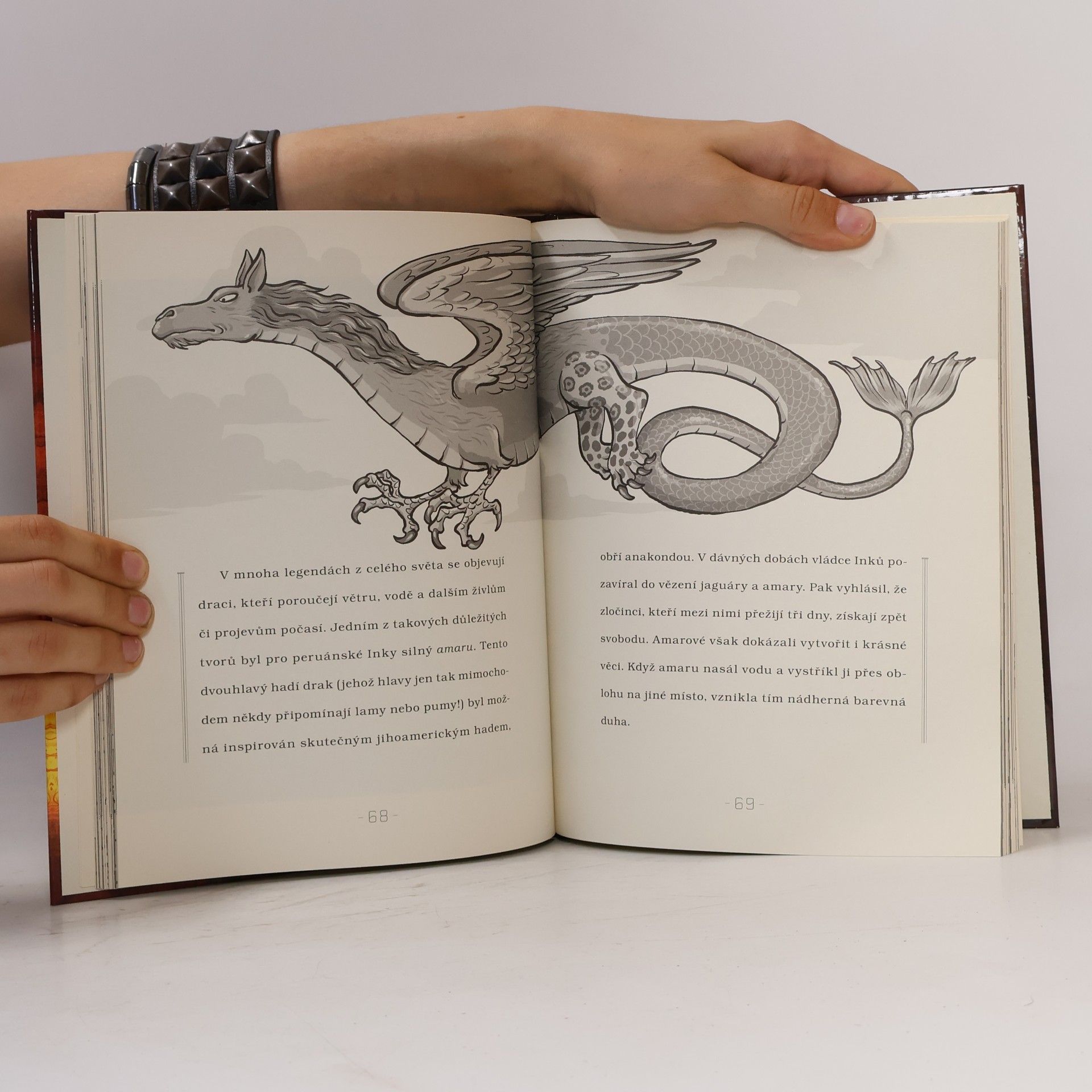 Erin Peabody Draci