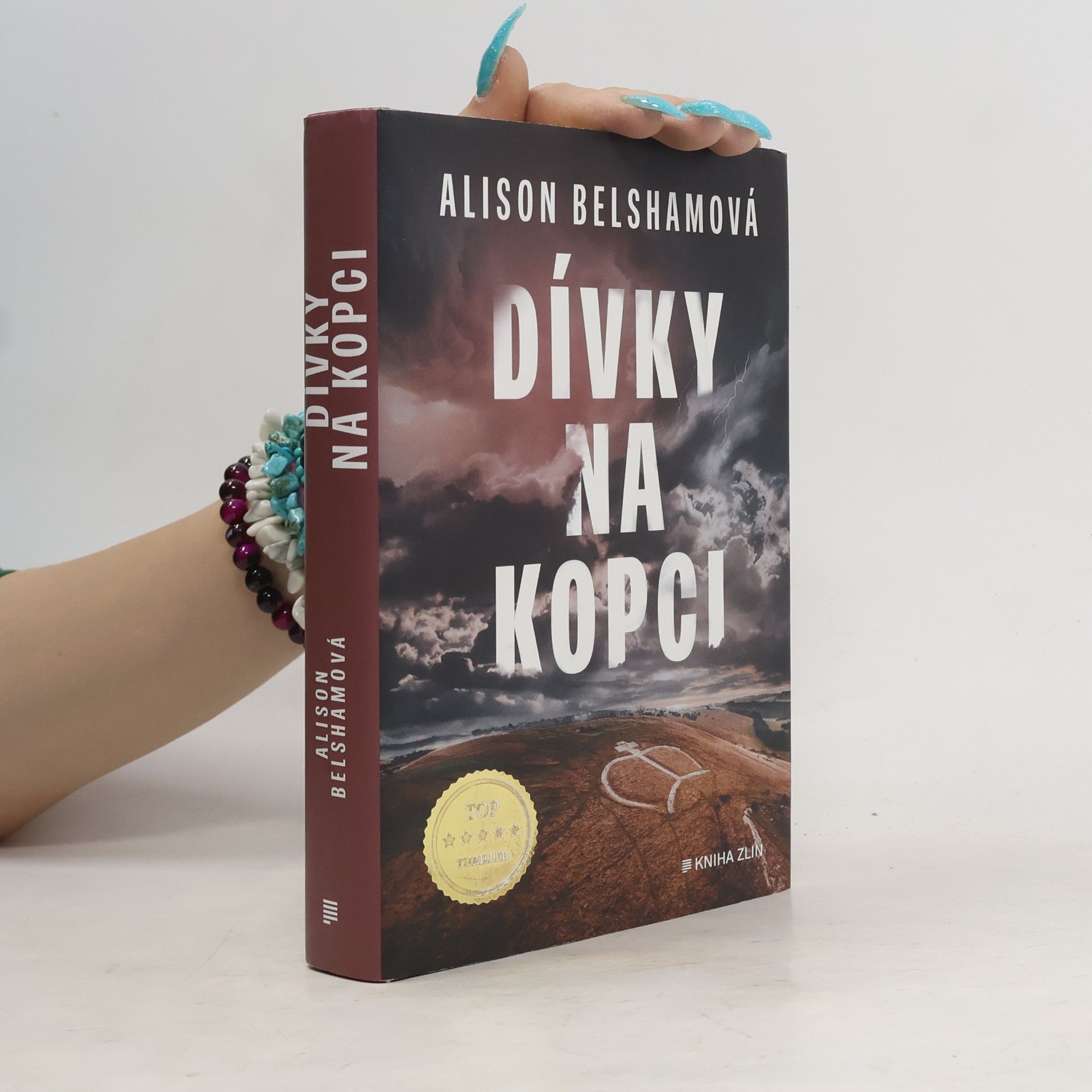 Alison Belsham Dívky na kopci