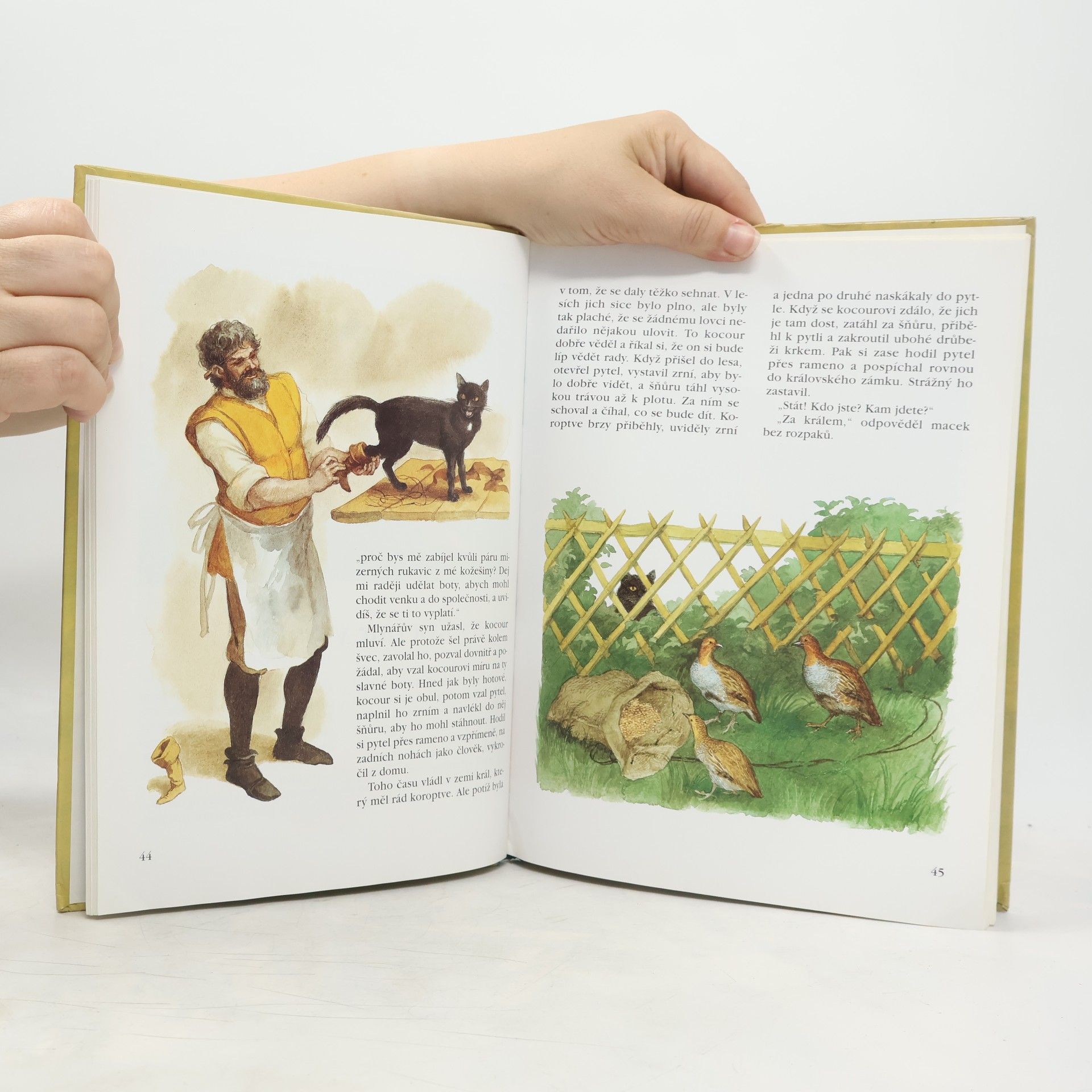 Jacob Grimm Pohádky bratří Grimmů 2