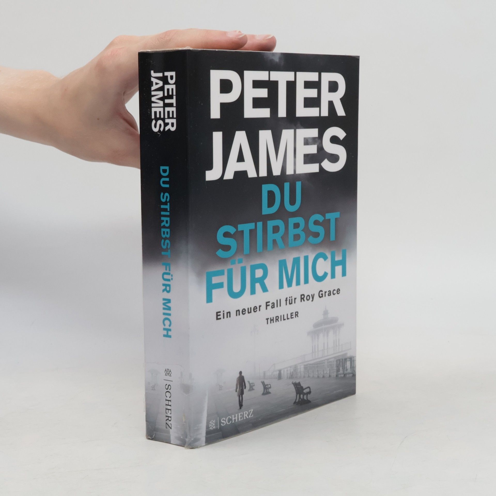 Peter James Du stirbst für mich