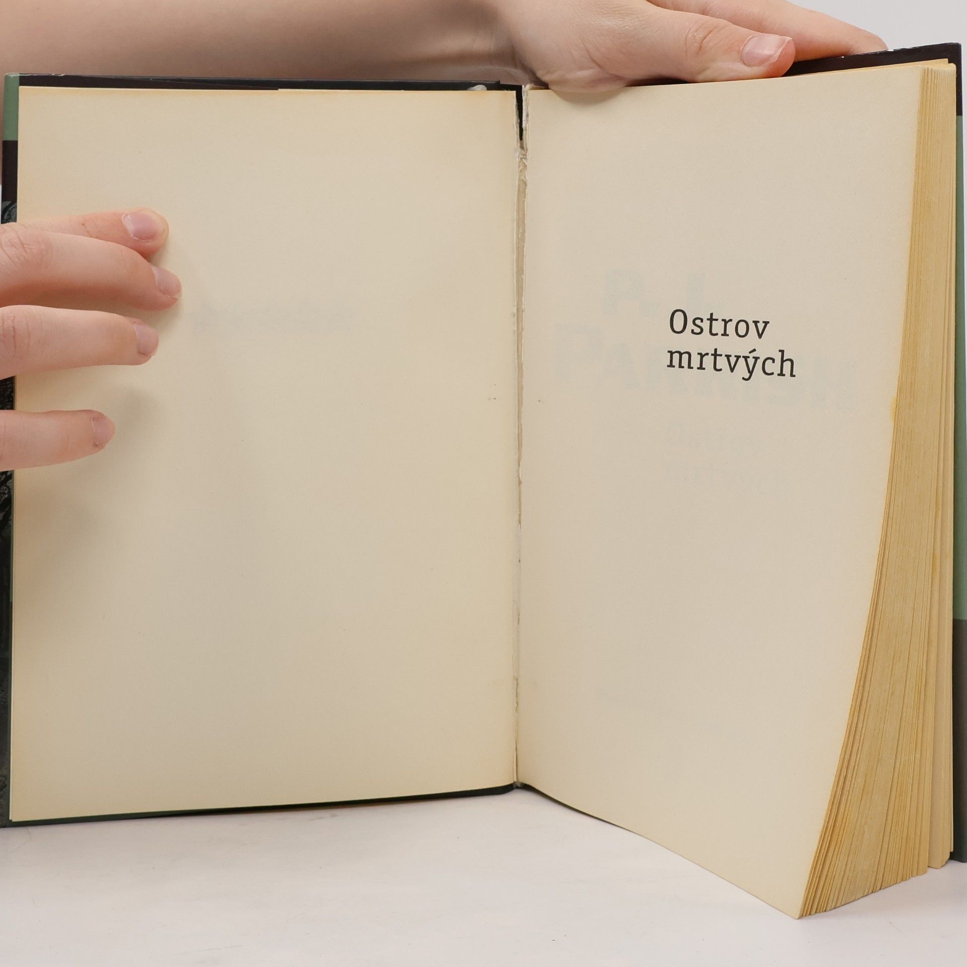 P. J. Parrish Ostrov mrtvých