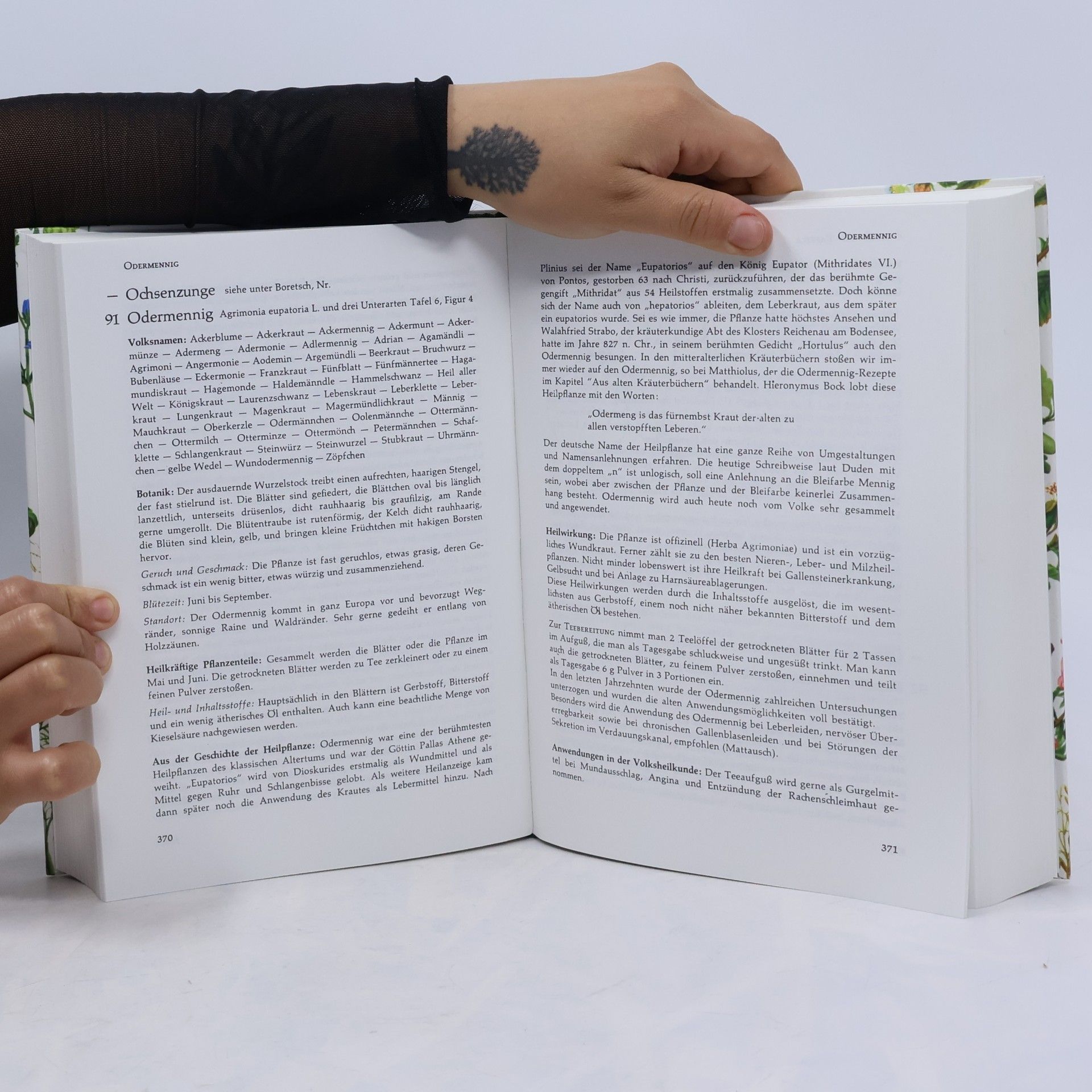 Richard Willfort Das grosse Handbuch der Heilkräuter