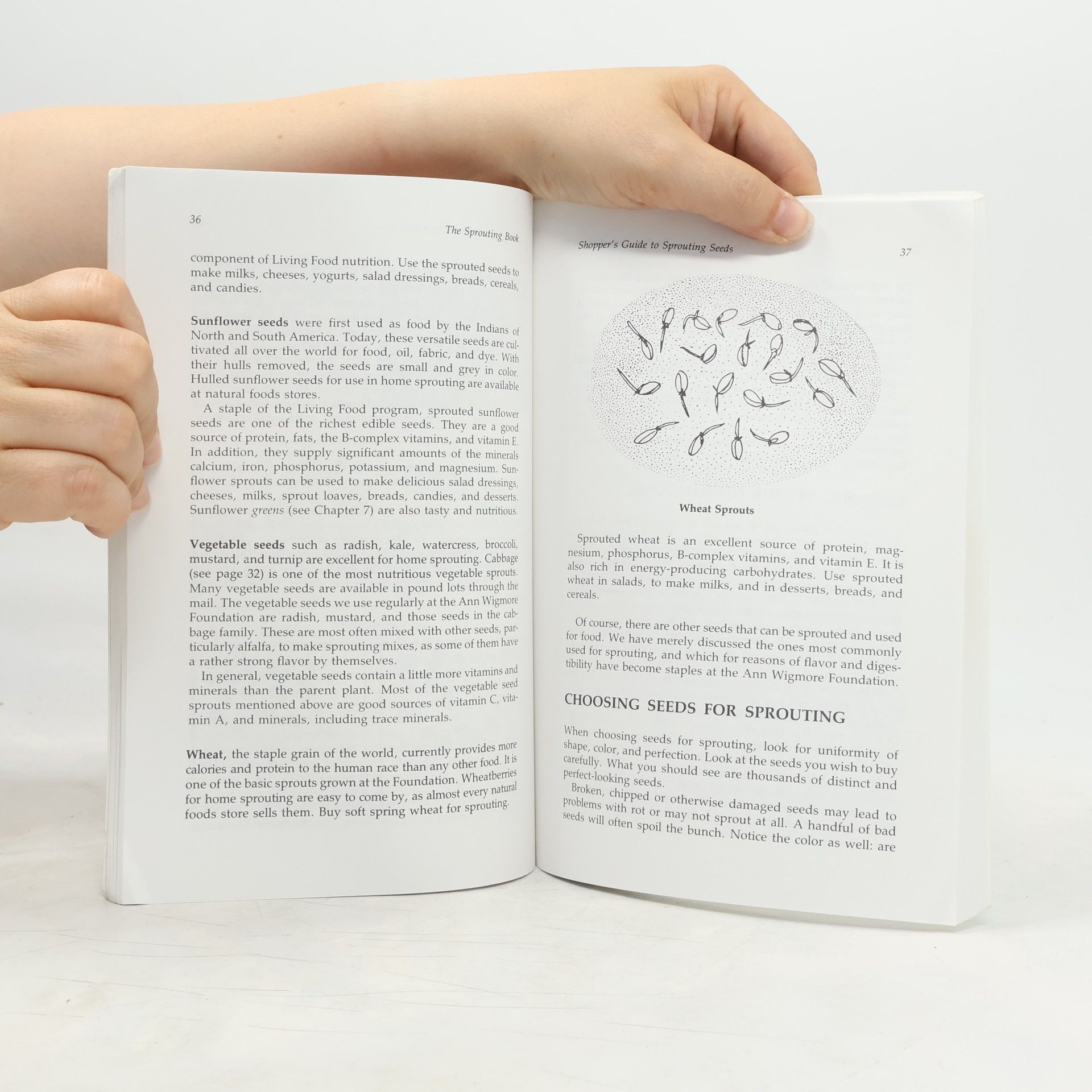 Ann Wigmore The Sprouting Book