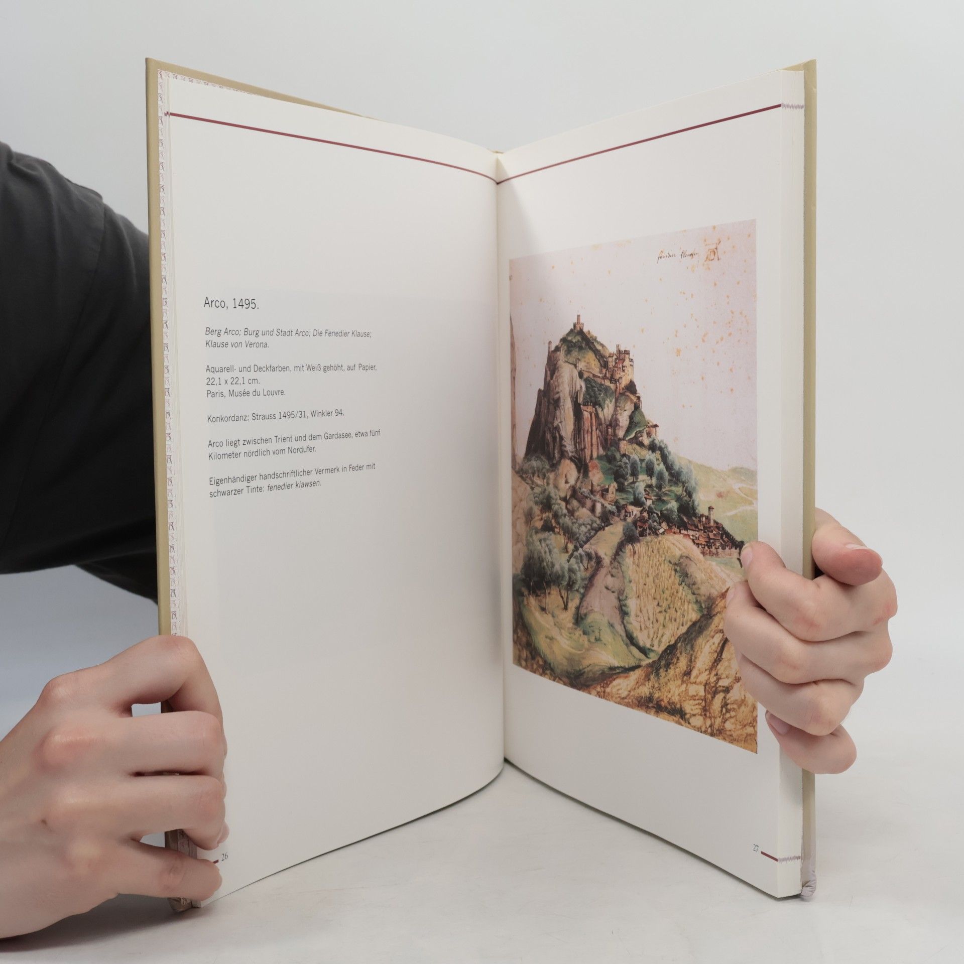 Albrecht Dürer Die Aquarelle des Albrecht Dürer