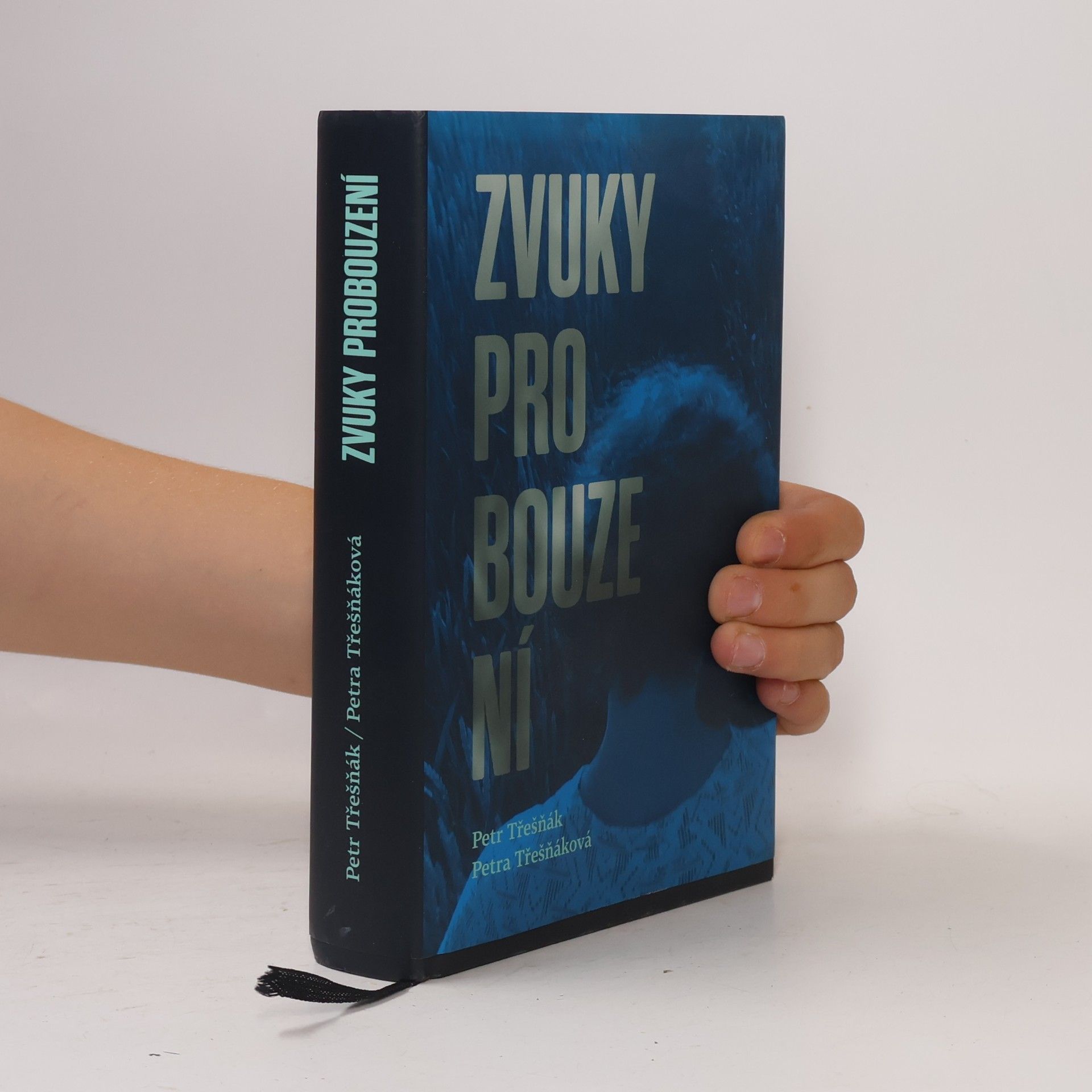Petr Třešňák Zvuky probouzení