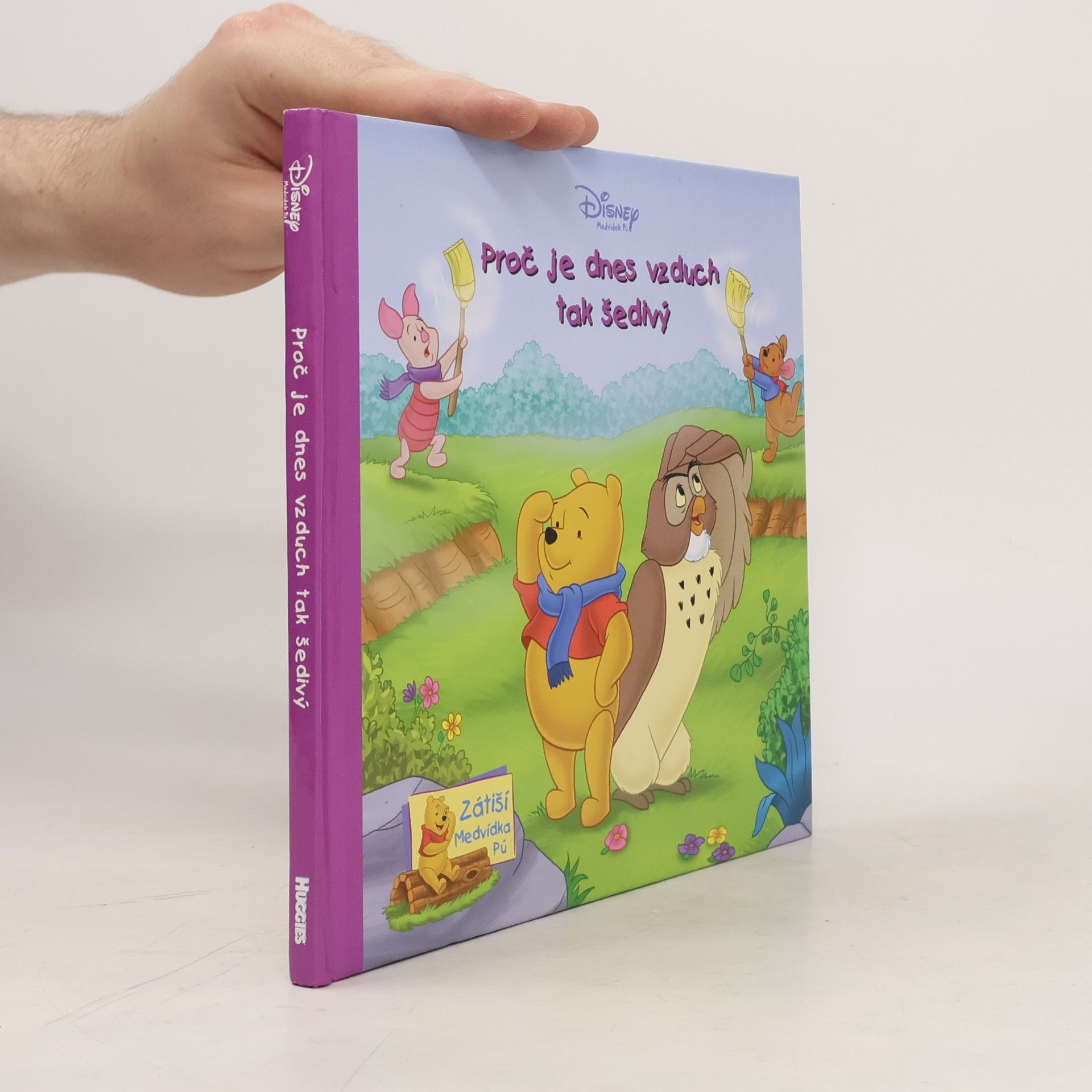 Autorenkollektiv Proč je dnes vzduch tak šedivý