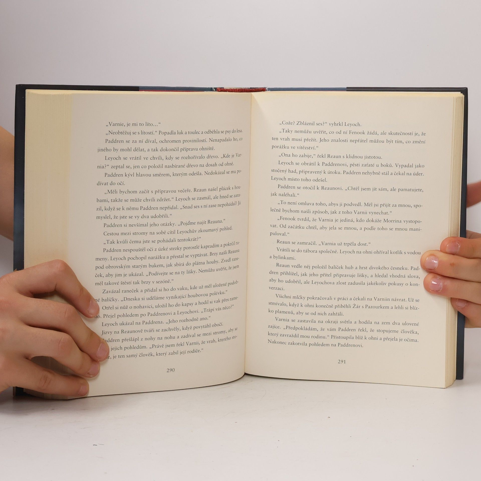 Suzanne Rogerson Zarua - ztracené město