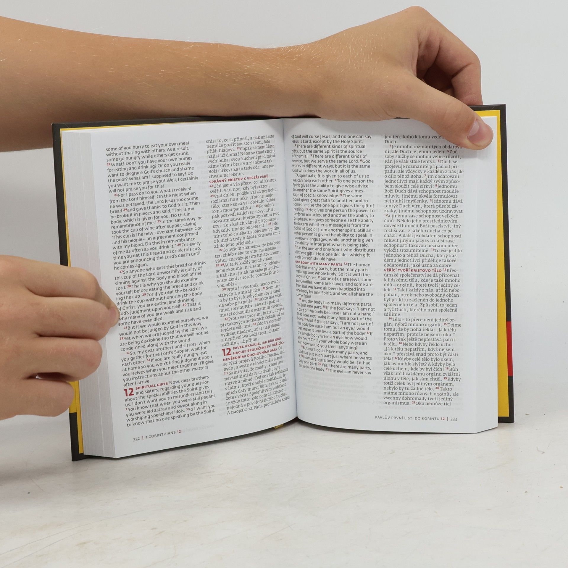 Autorenkollektiv Nový zákon - New Testament