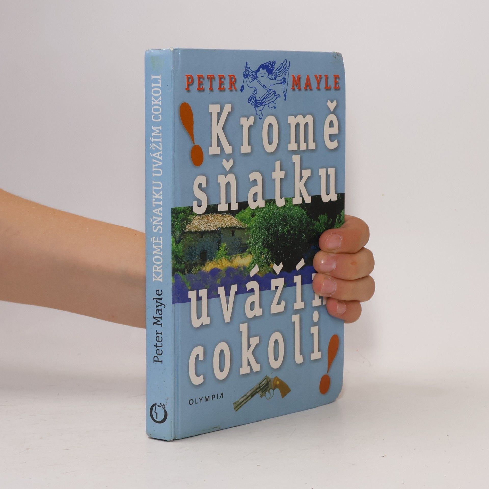Peter Mayle Kromě sňatku uvážím cokoli!