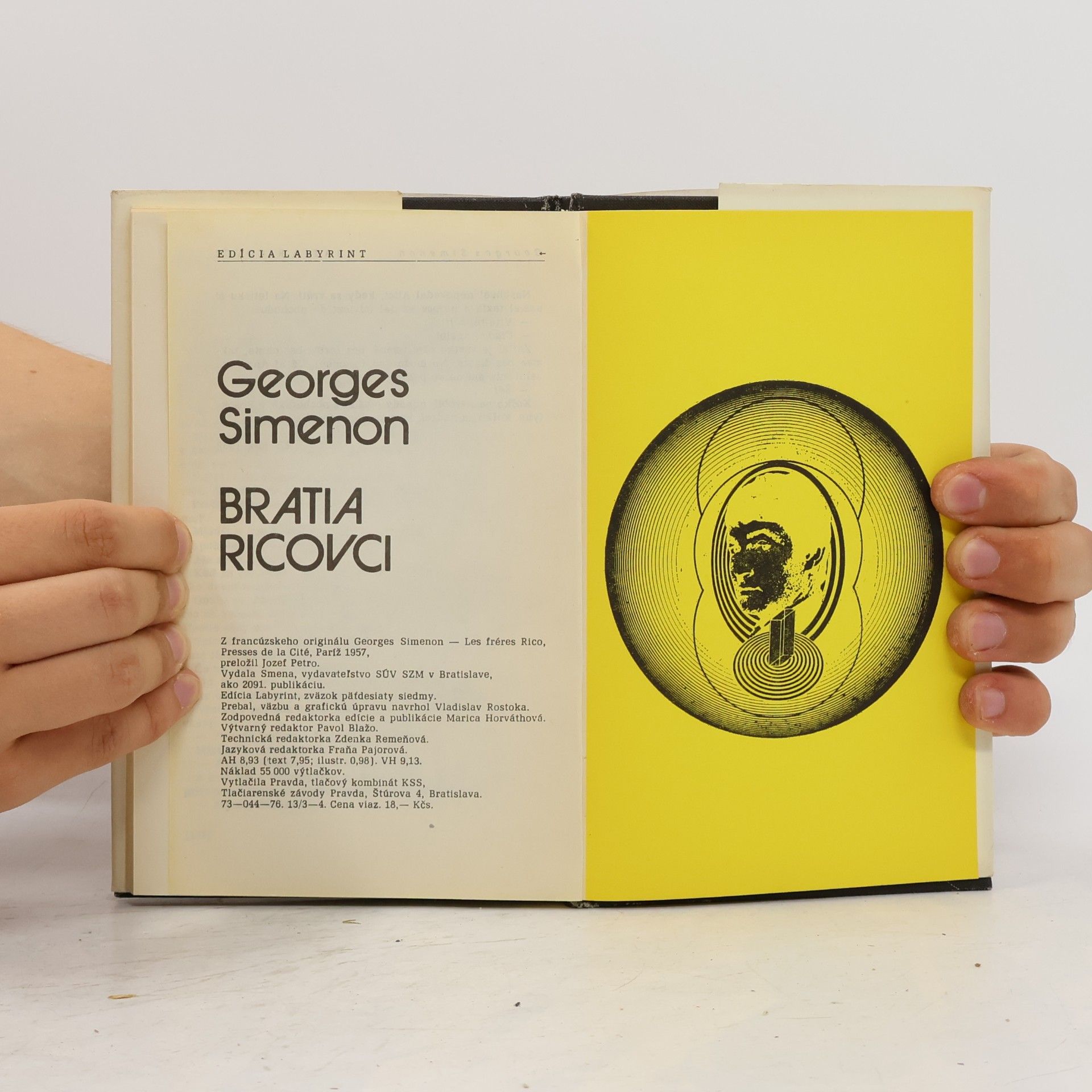 Georges Simenon Bratia Ricovci