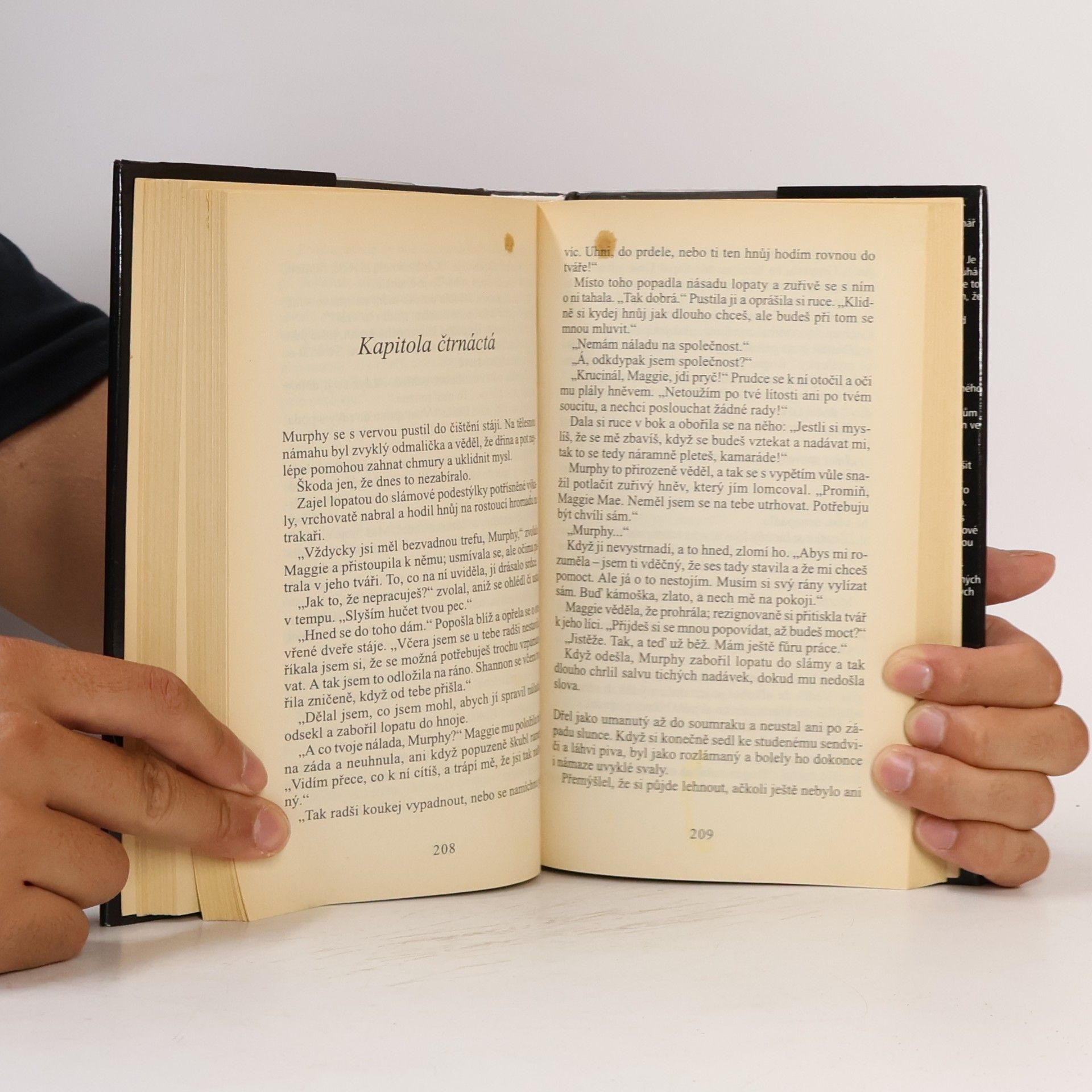 Nora Roberts Zrozená z hanby
