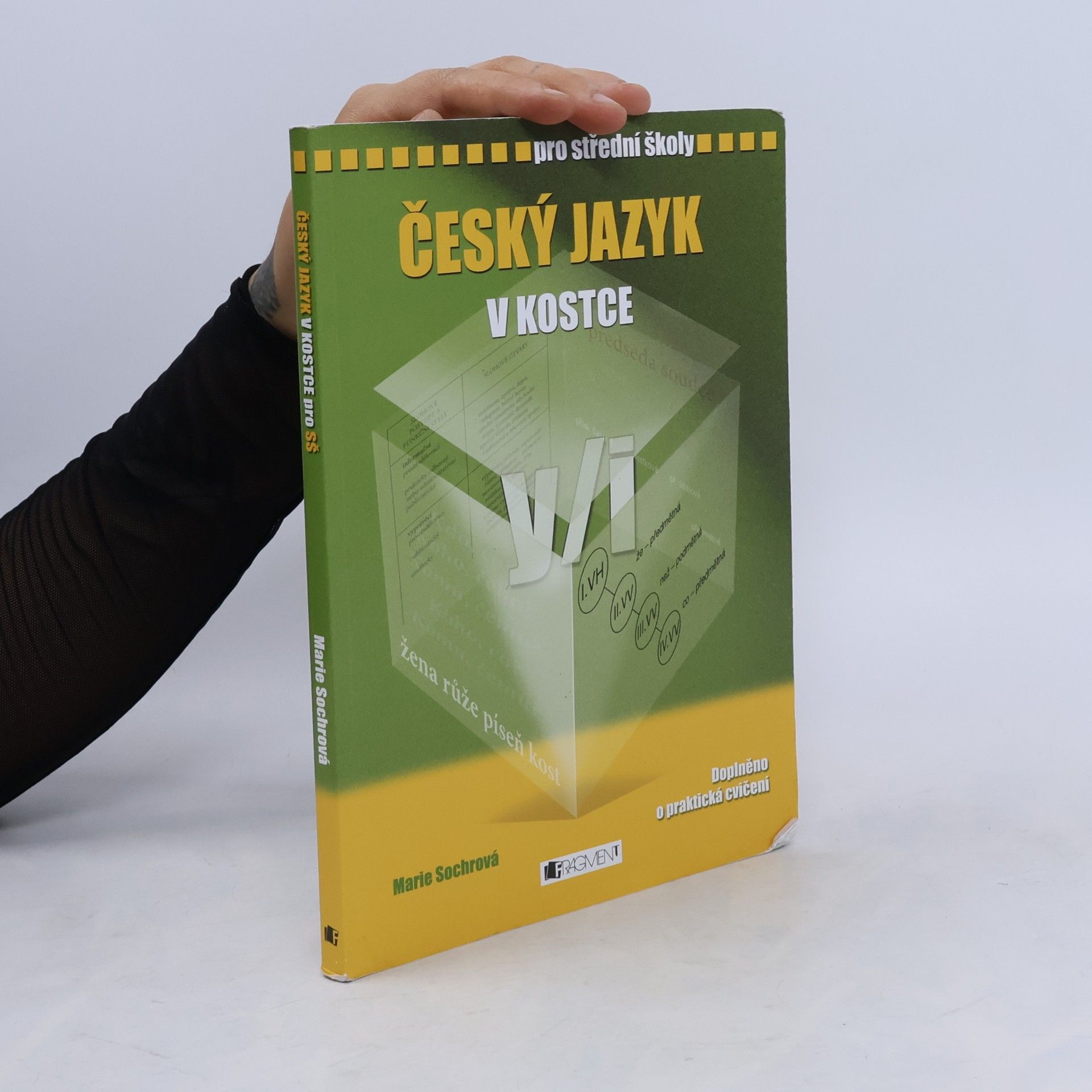 Marie Sochrová Český jazyk v kostce : pro střední školy