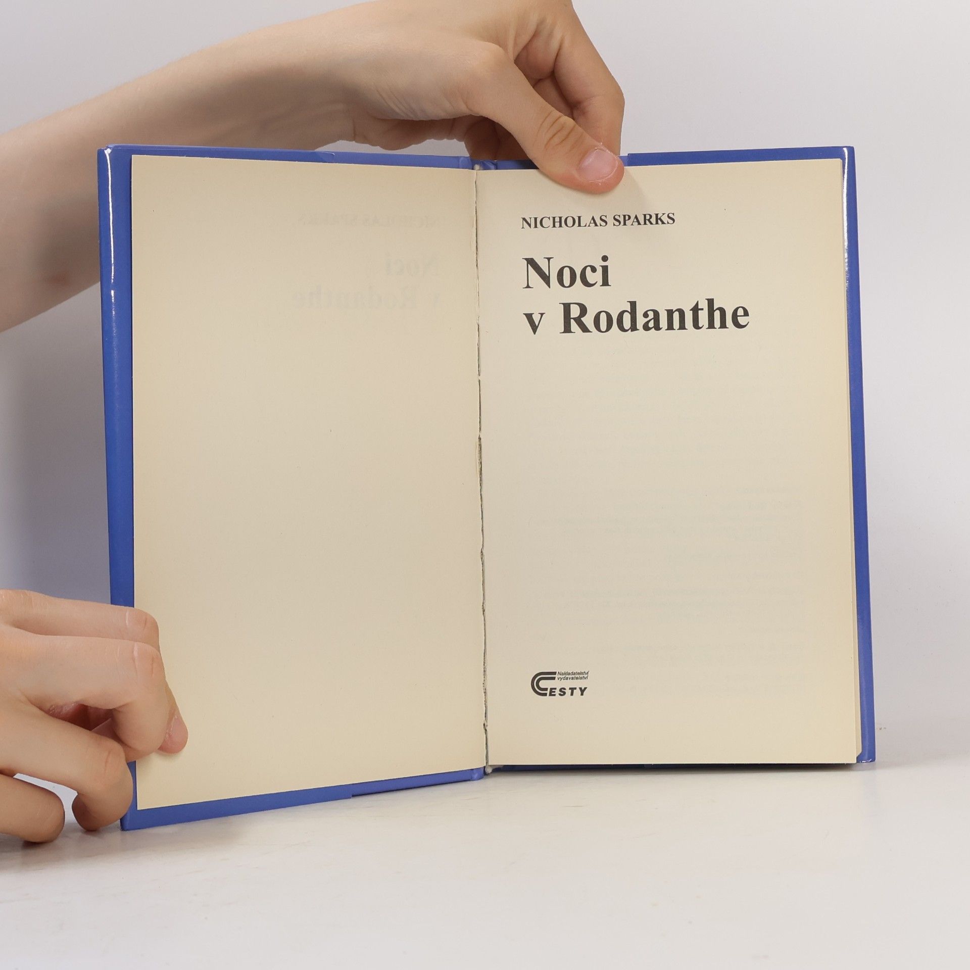 Nicholas Sparks Noci v Rodanthe