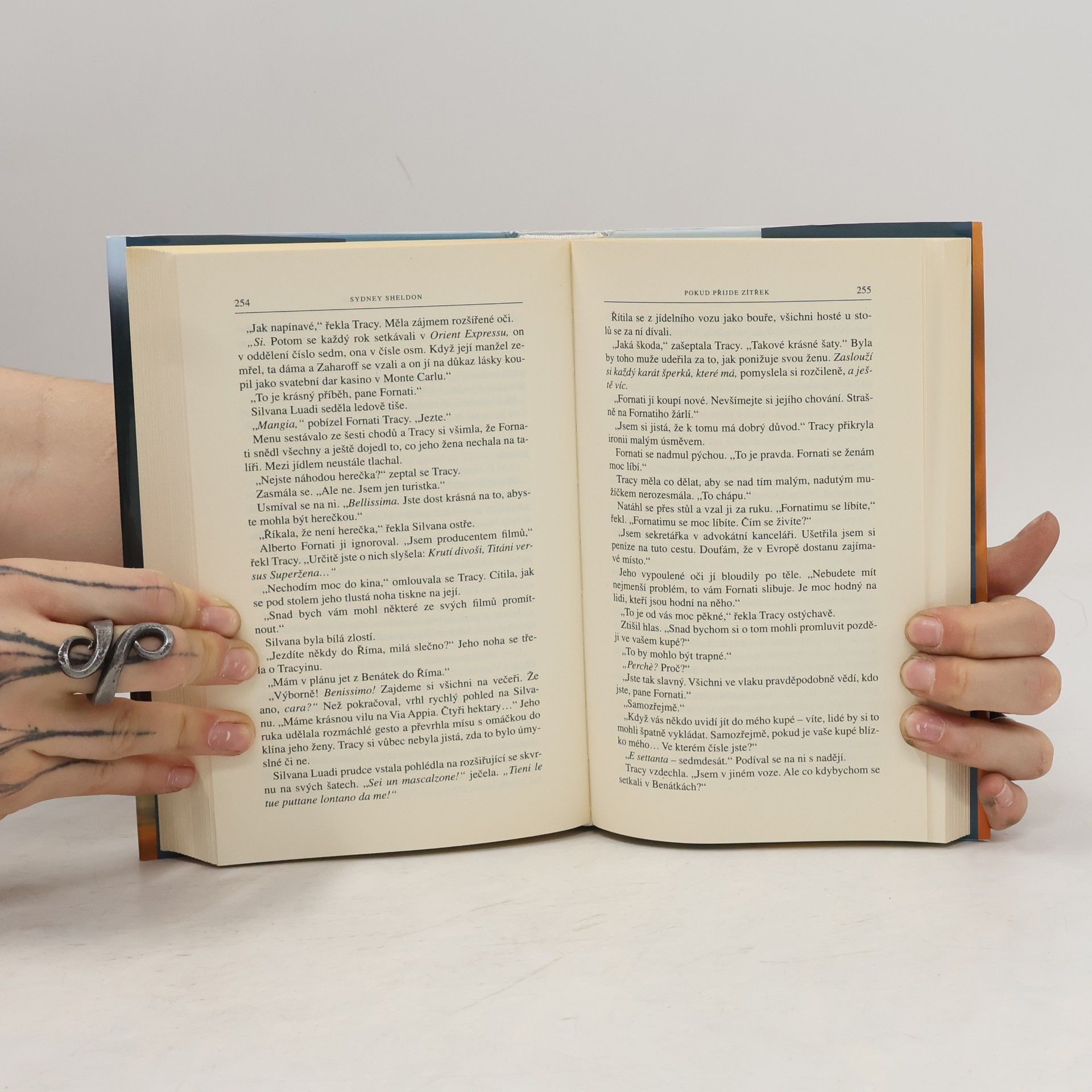 Sidney Sheldon Pokud přijde zítřek