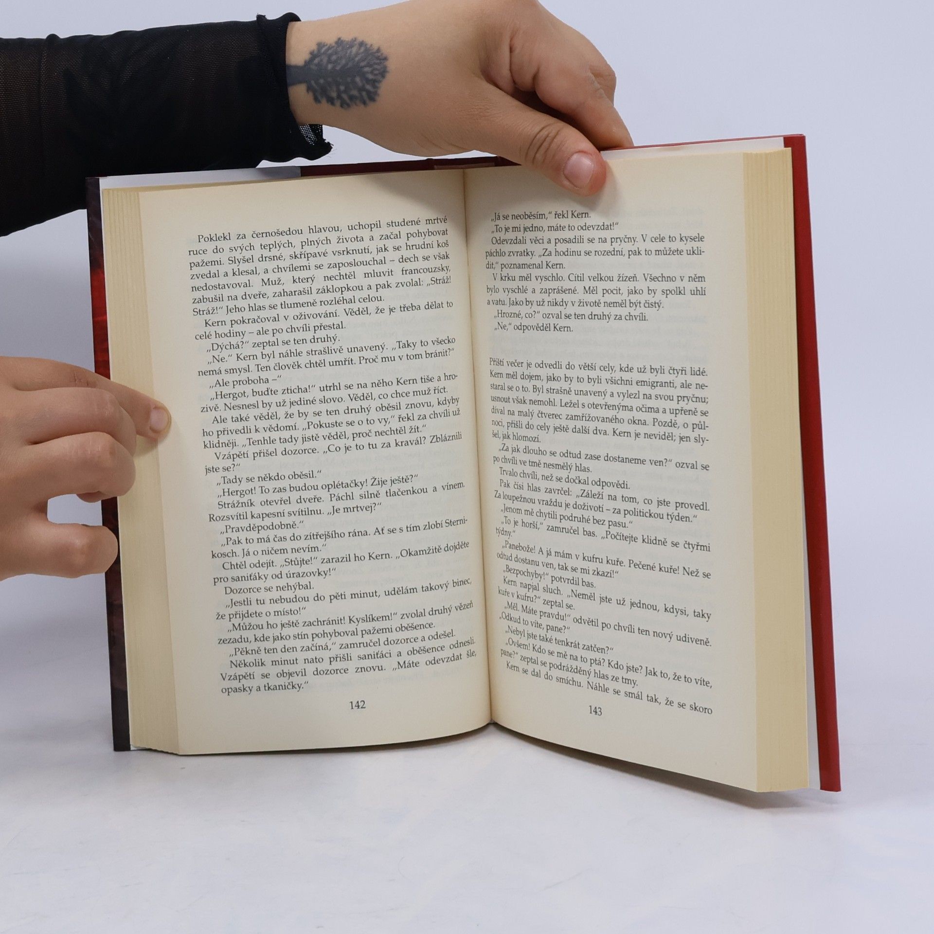 Erich Maria Remarque Miluj bližního svého