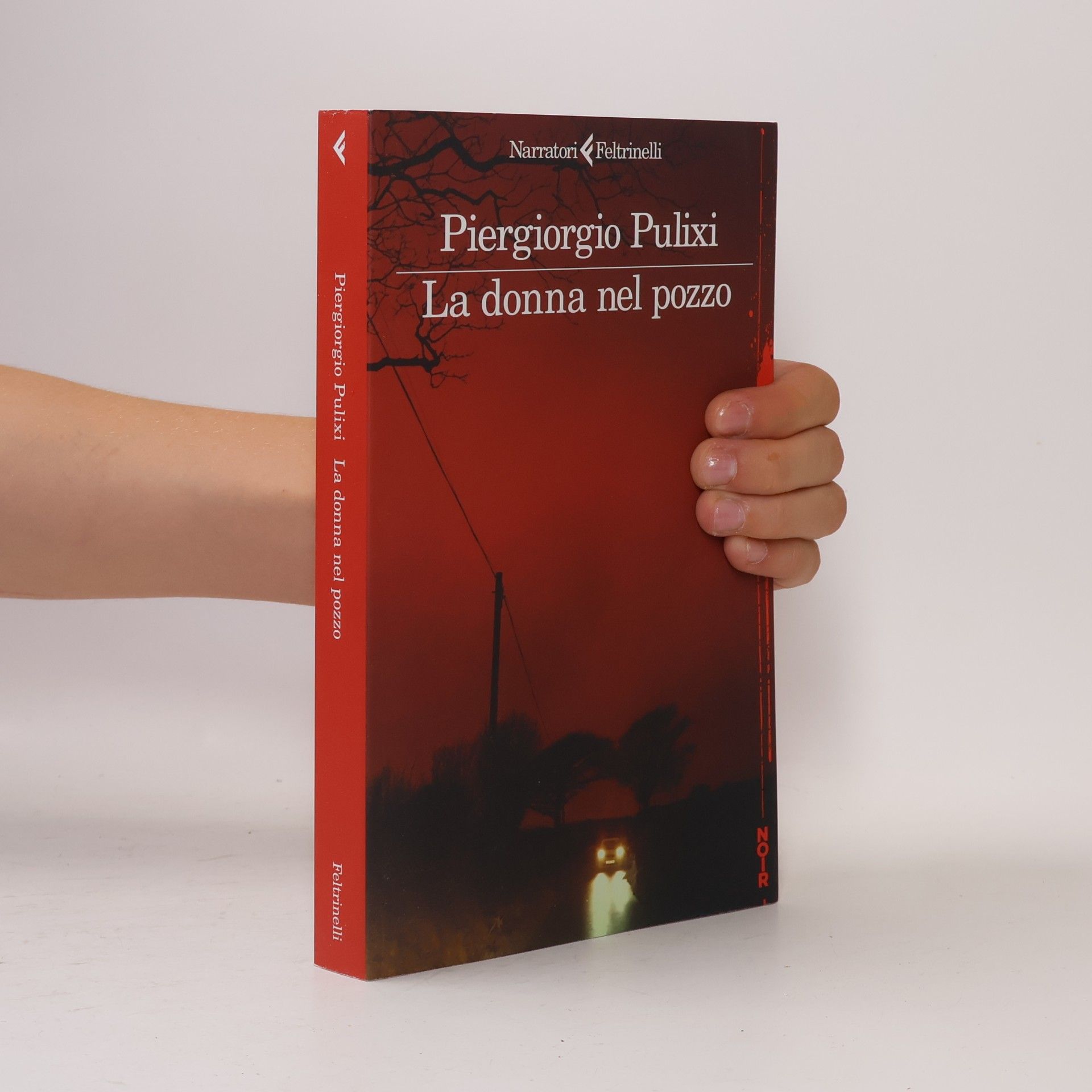 Piergiorgio Pulixi I narratori: La donna nel pozzo