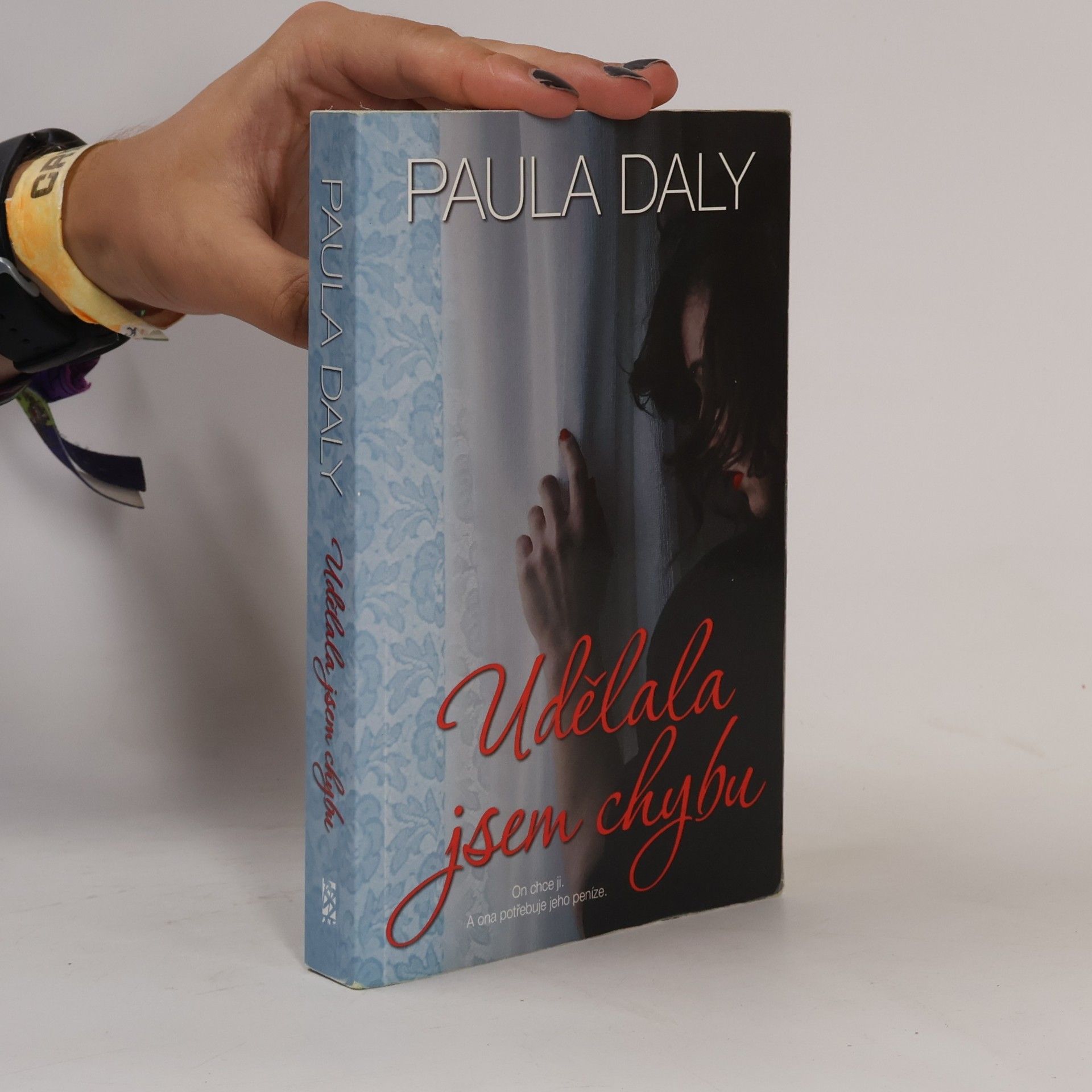Paula Daly Udělala jsem chybu