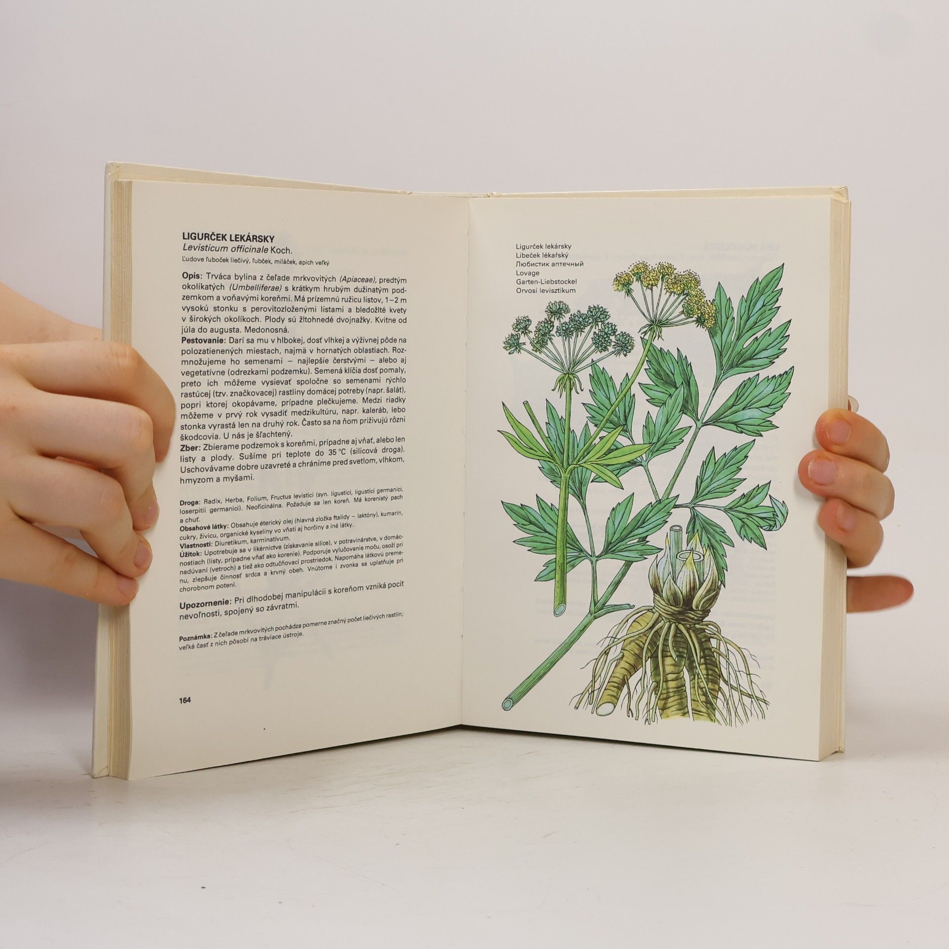 Ludmila Thurzová Malý atlas liečivých rastlín