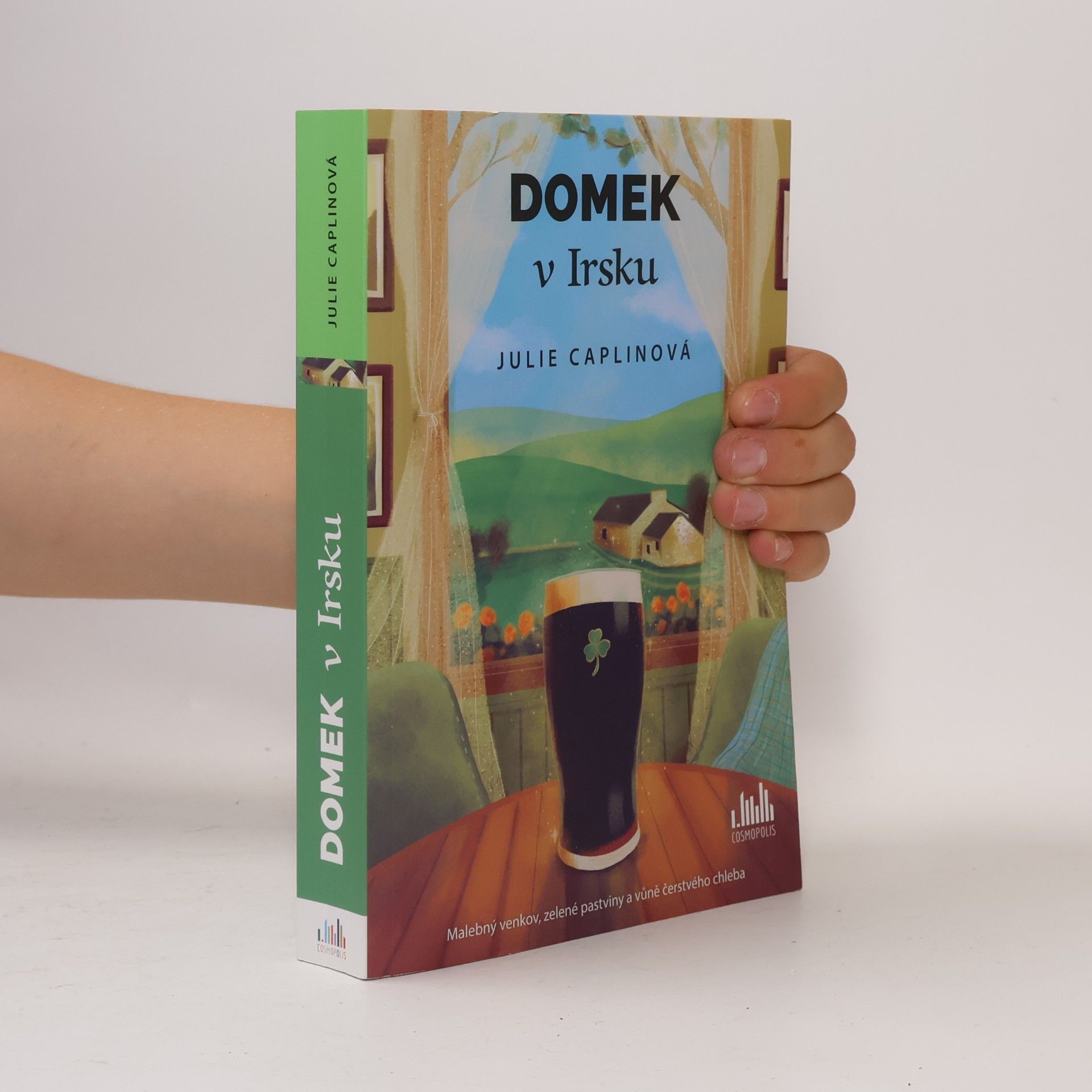 Julie Caplin Domek v Irsku