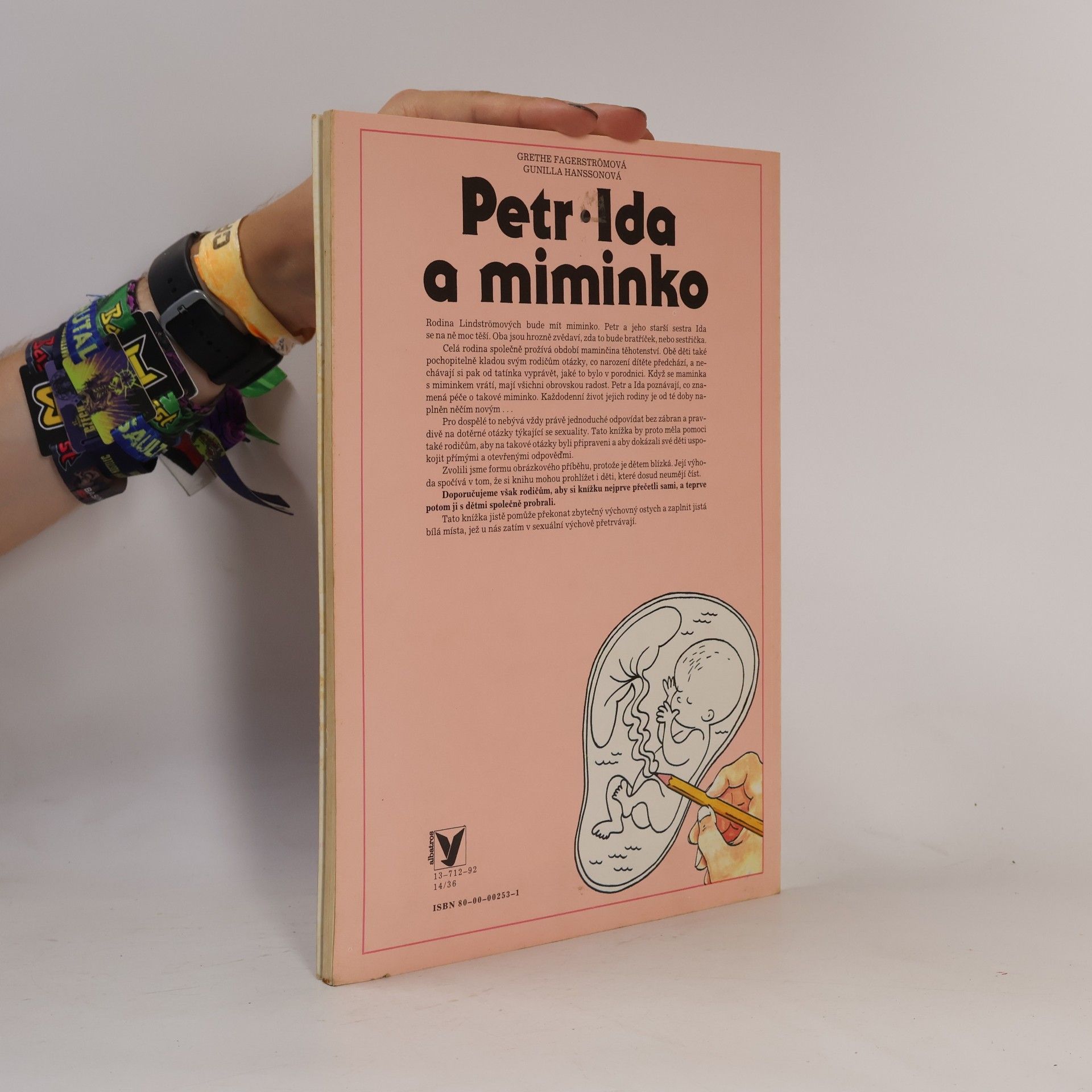 Grethe Fagerström Petr, Ida a miminko: Kniha o soužití v rodině
